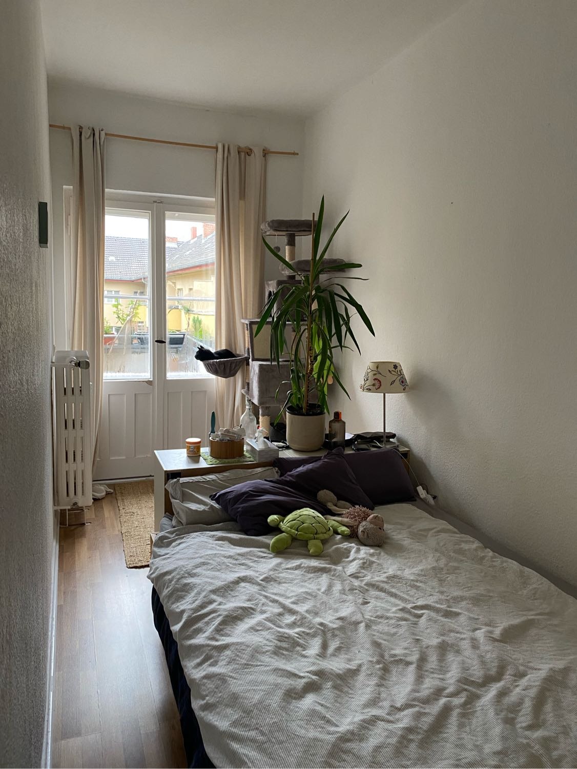 image-11