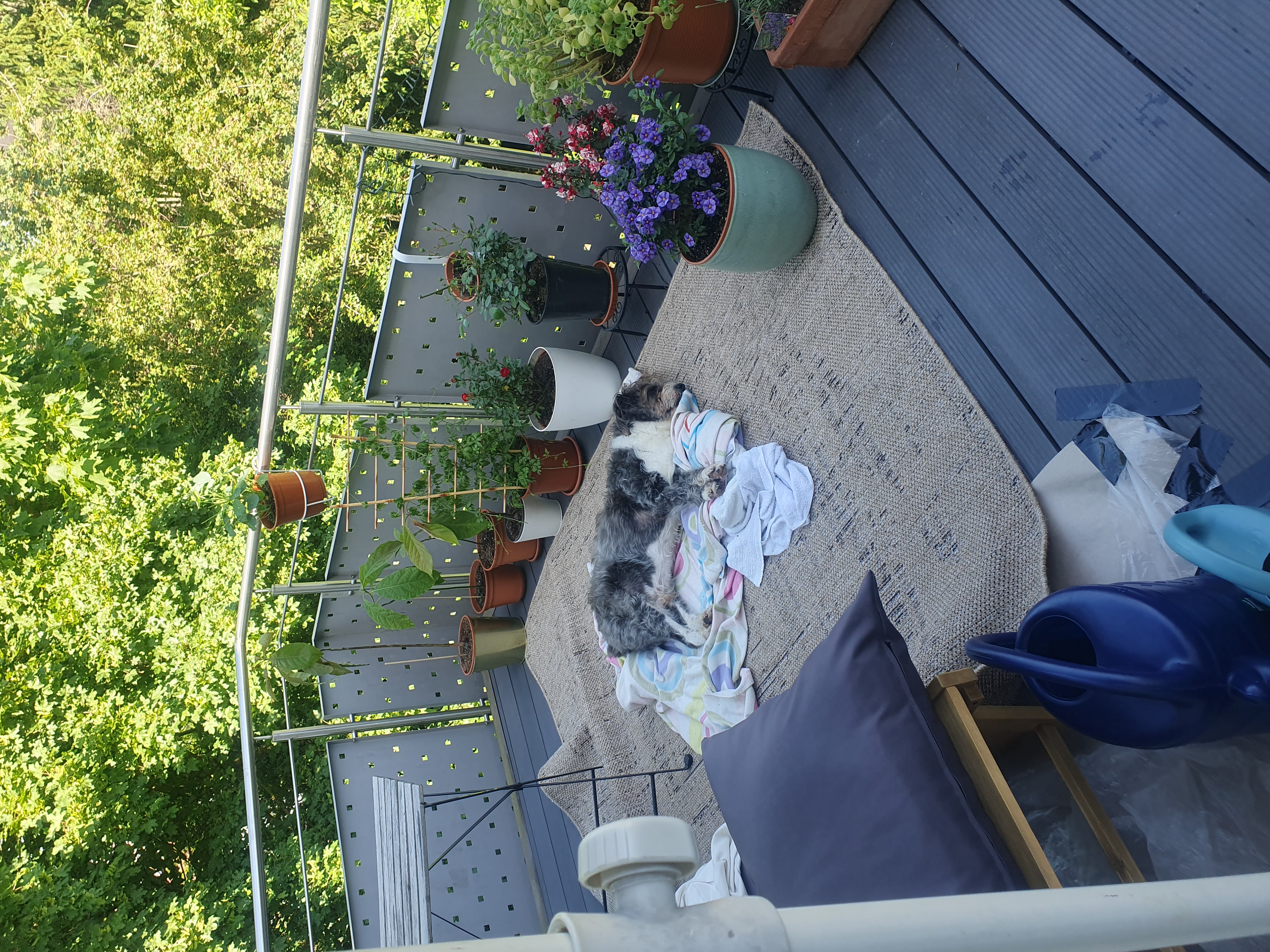image-15