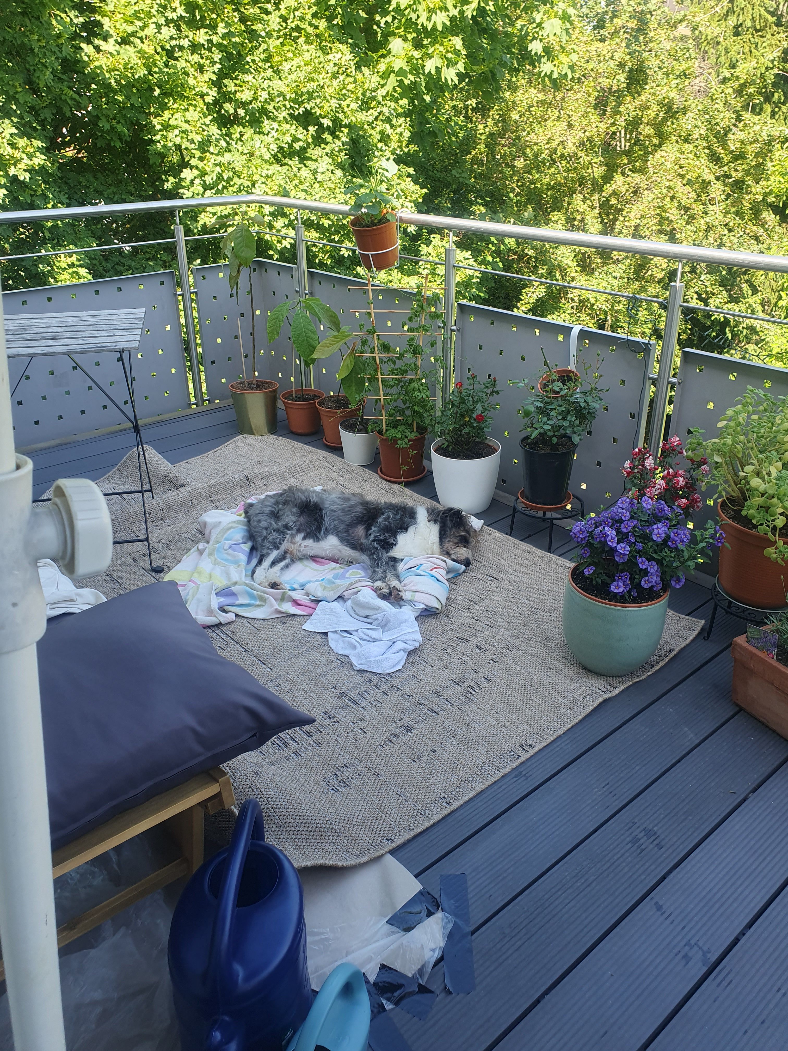 image-15