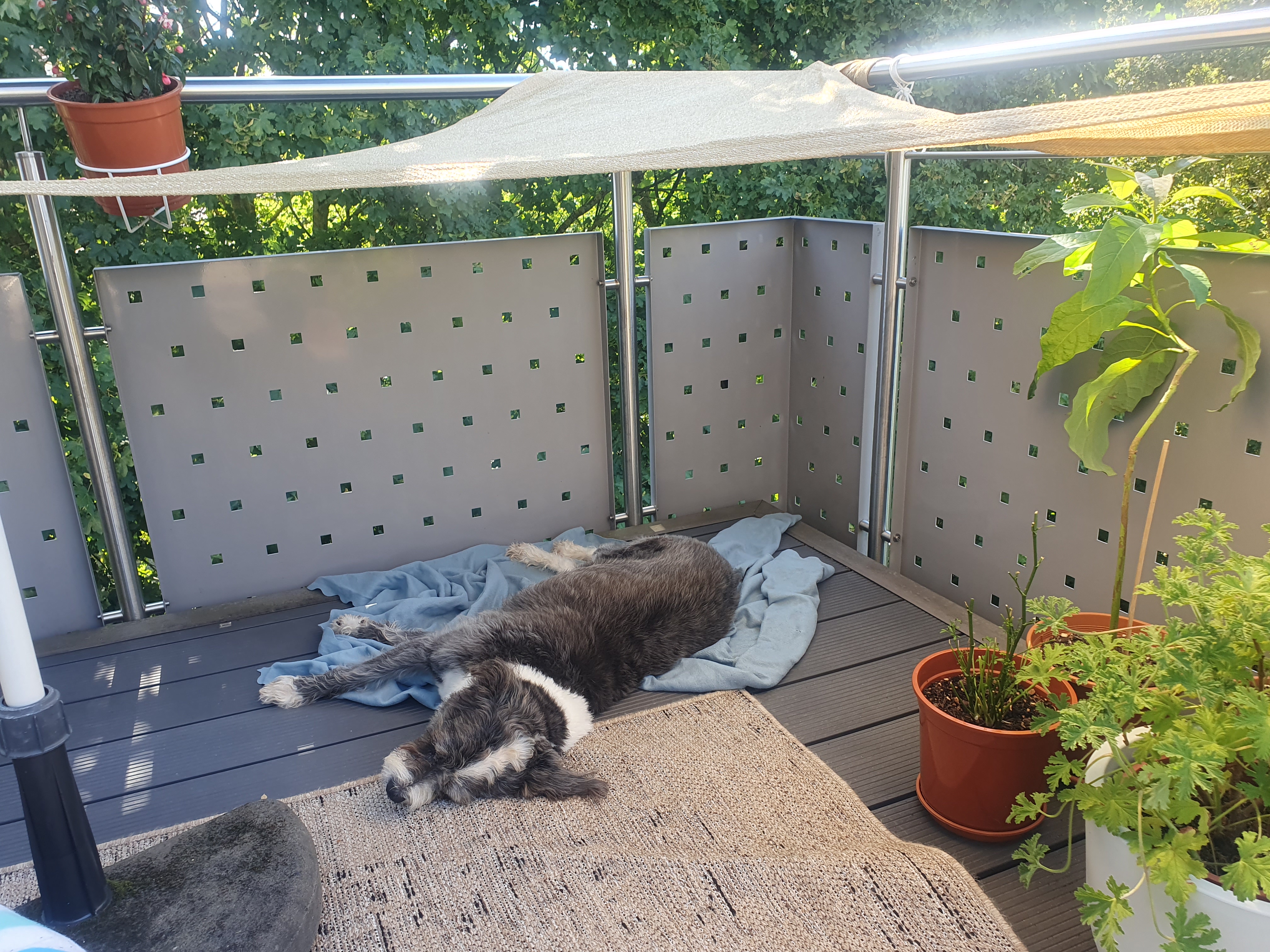 image-7