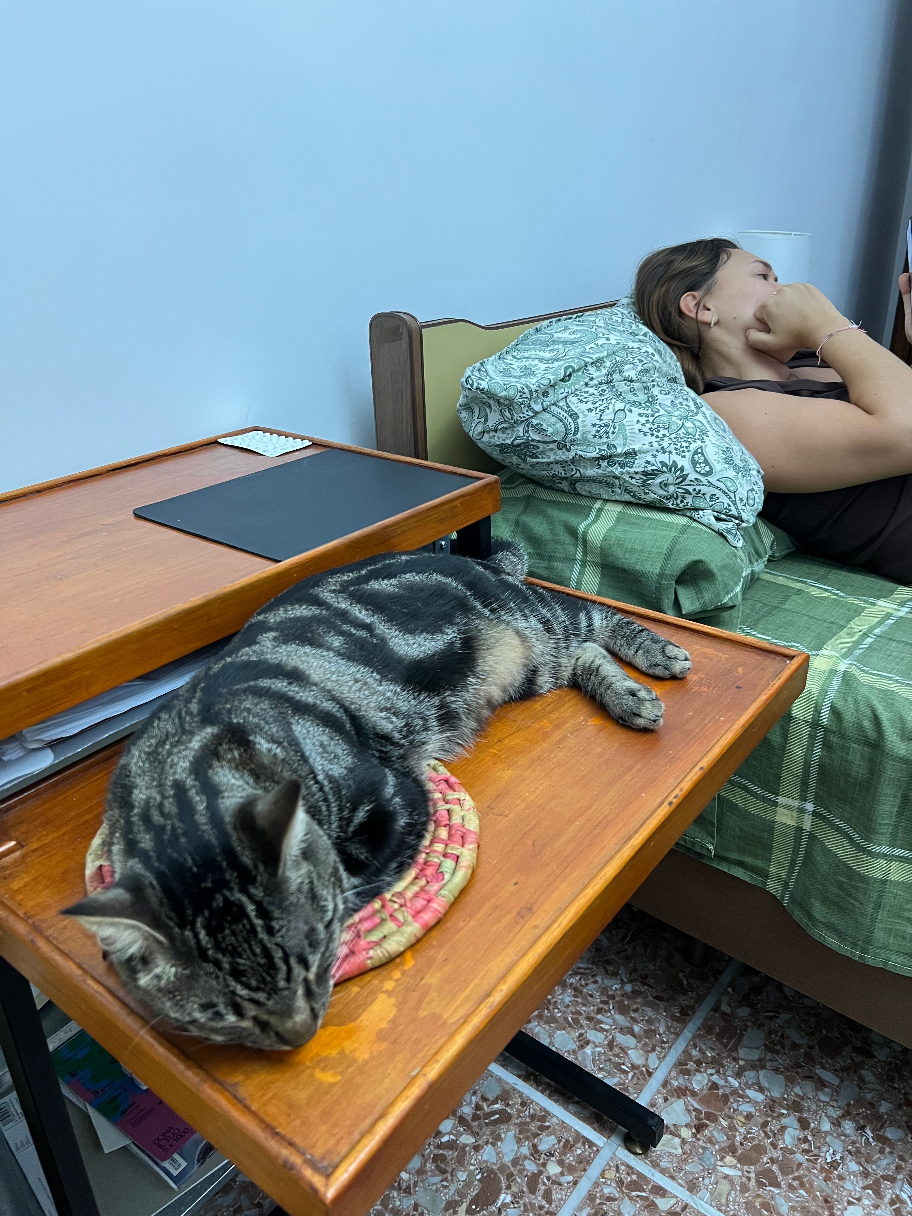 image-12