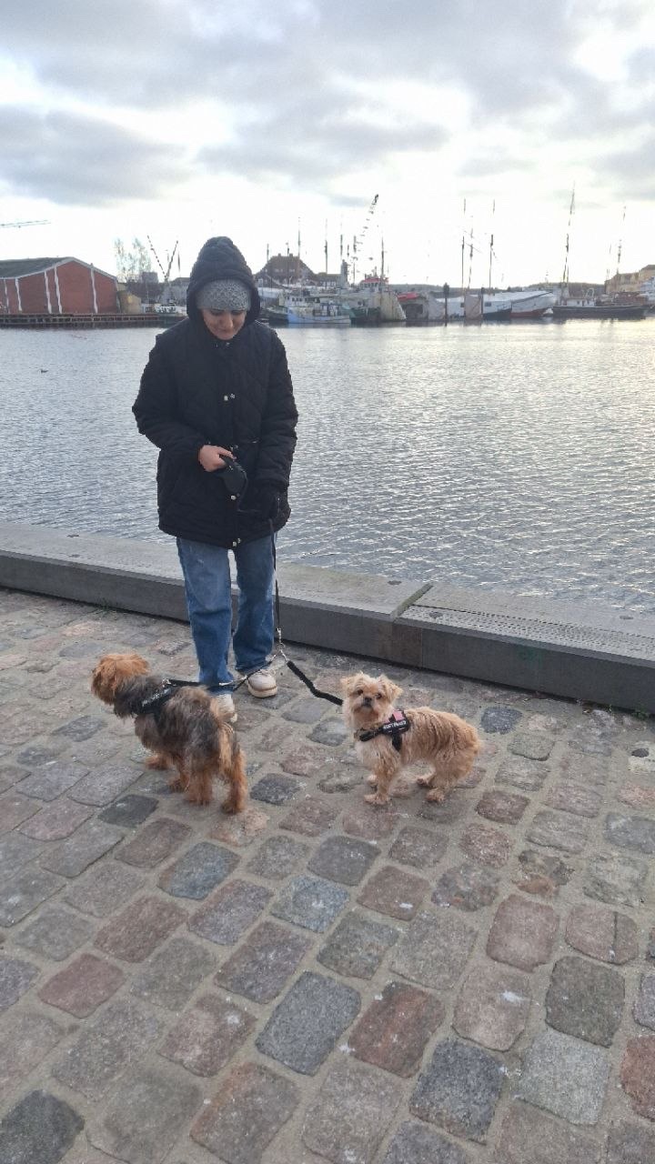 image-3