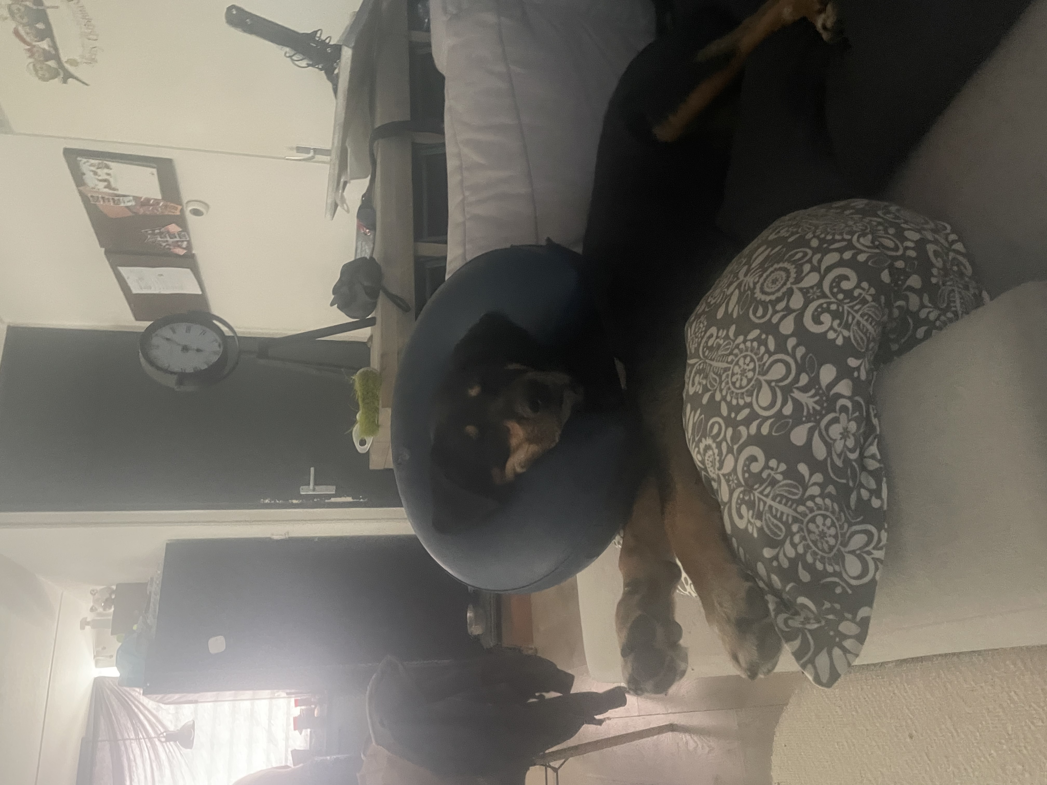 image-16