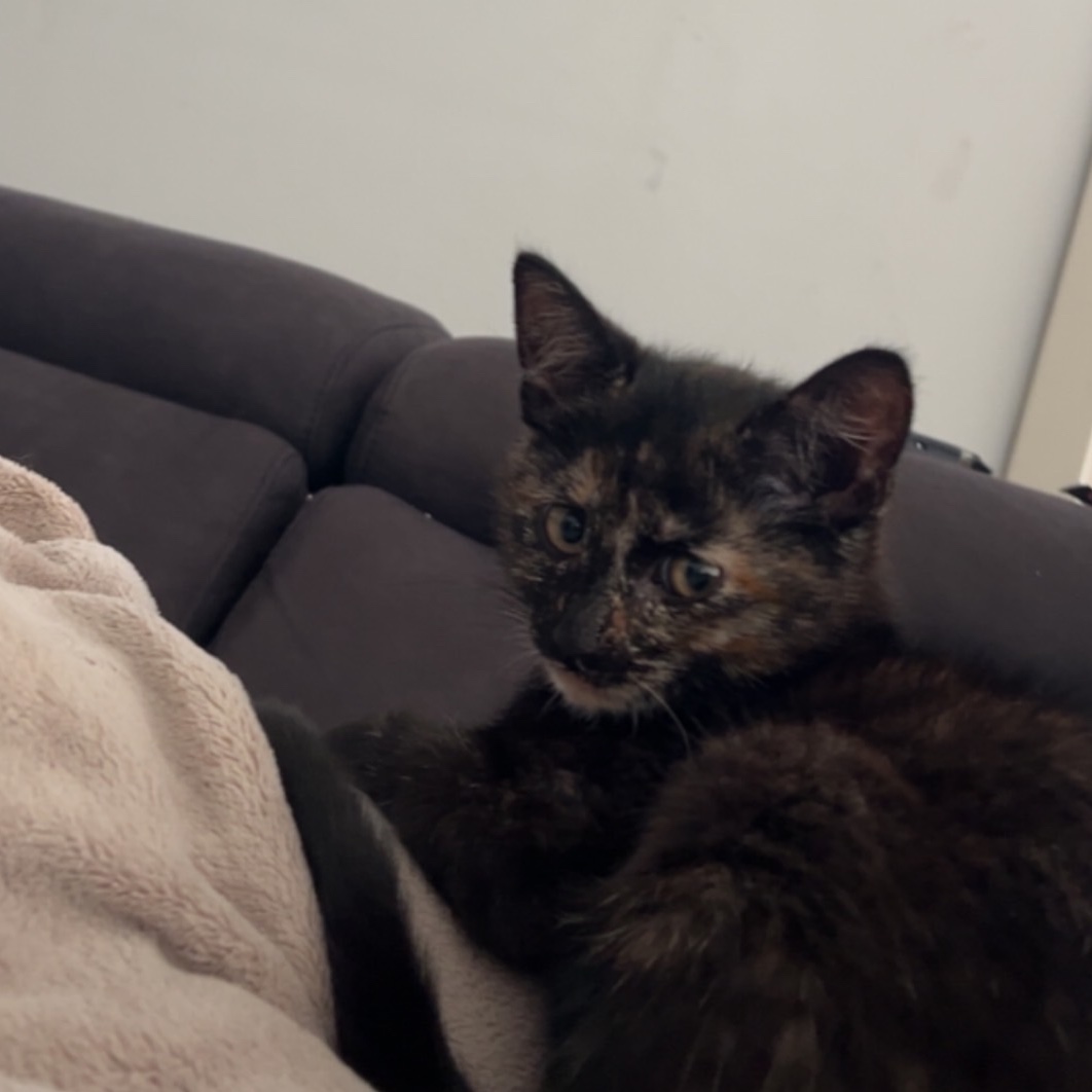 Nala