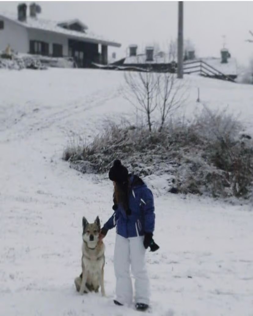 image-9