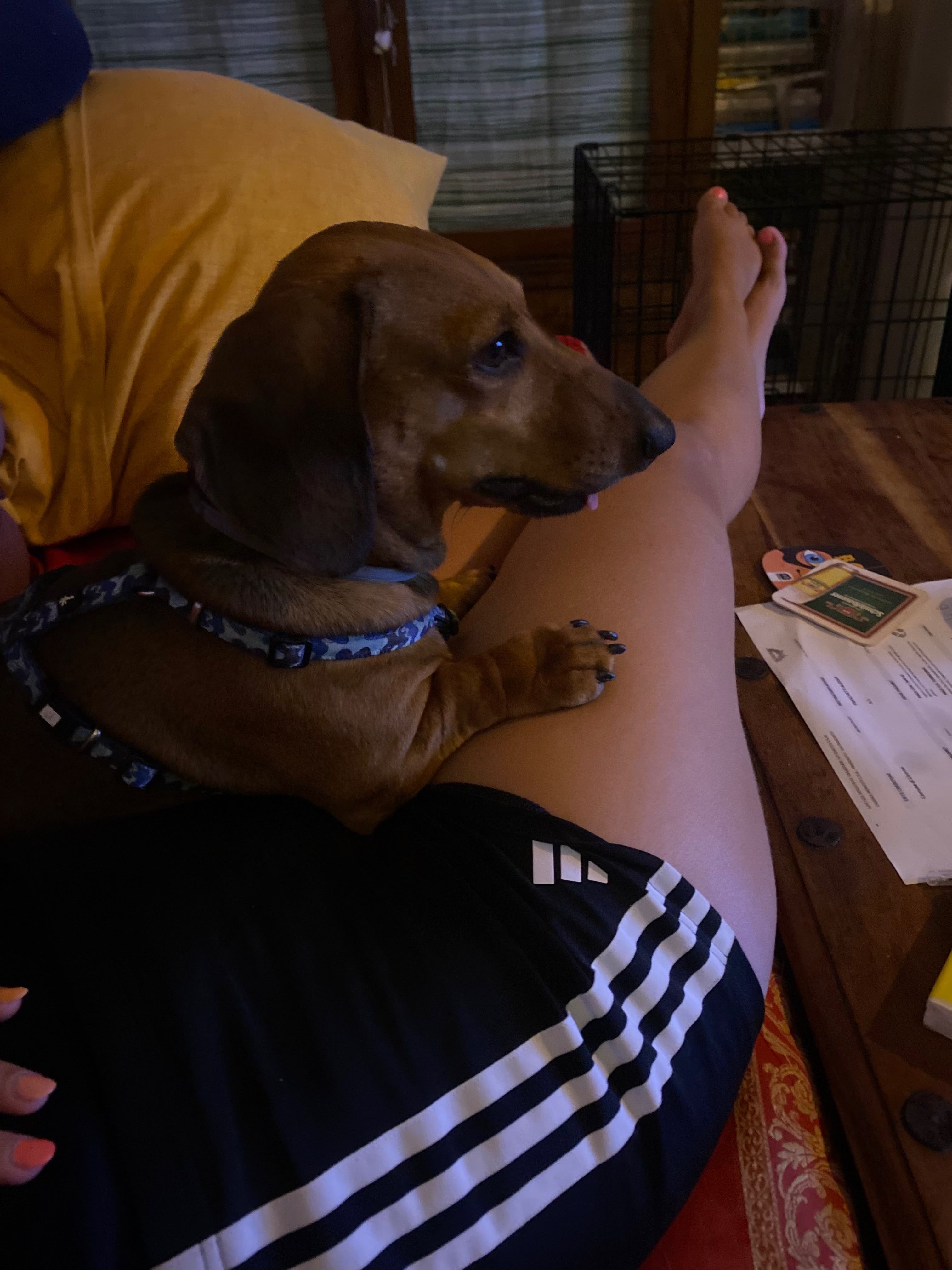 image-8