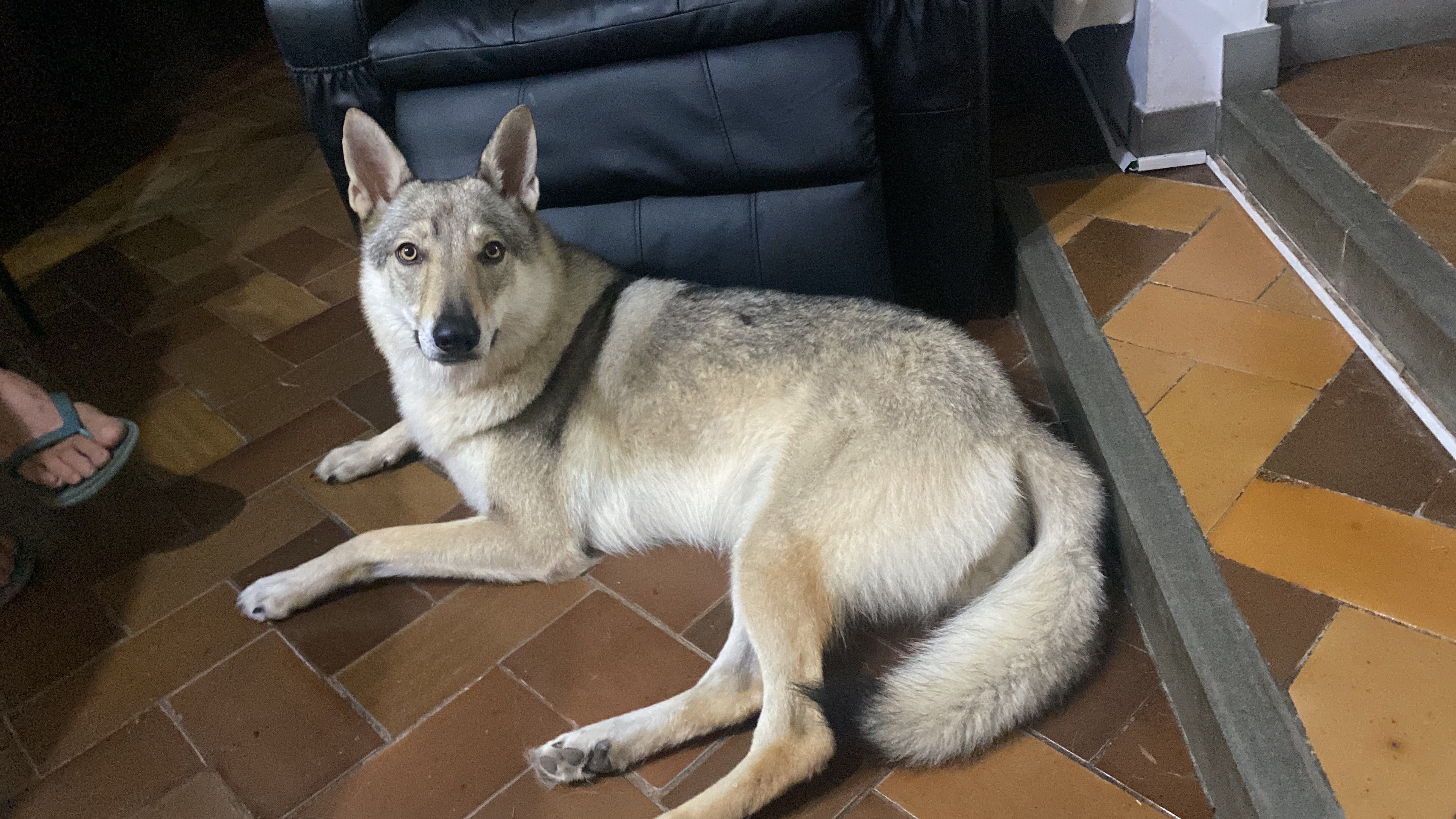 image-5