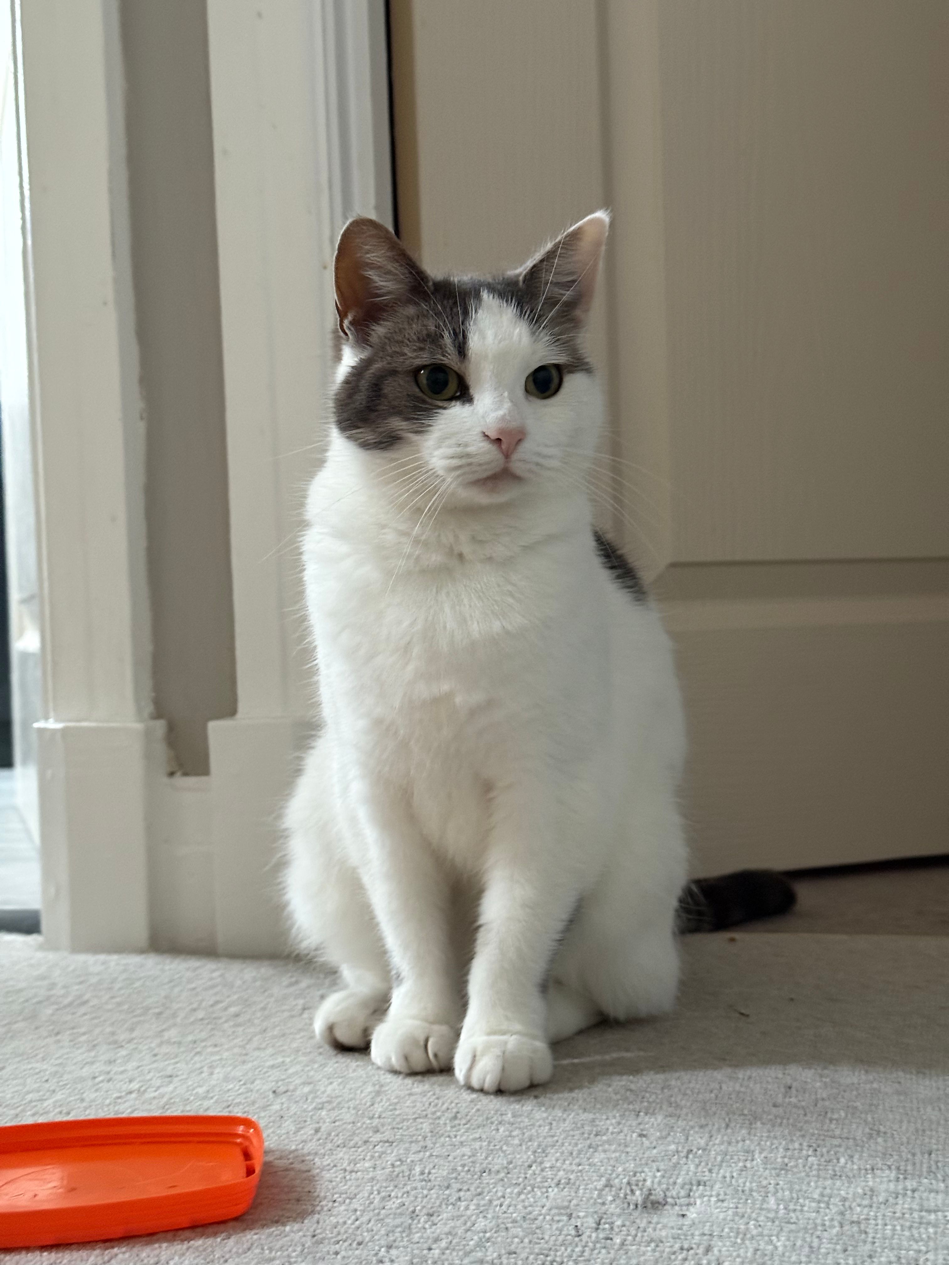 image-8