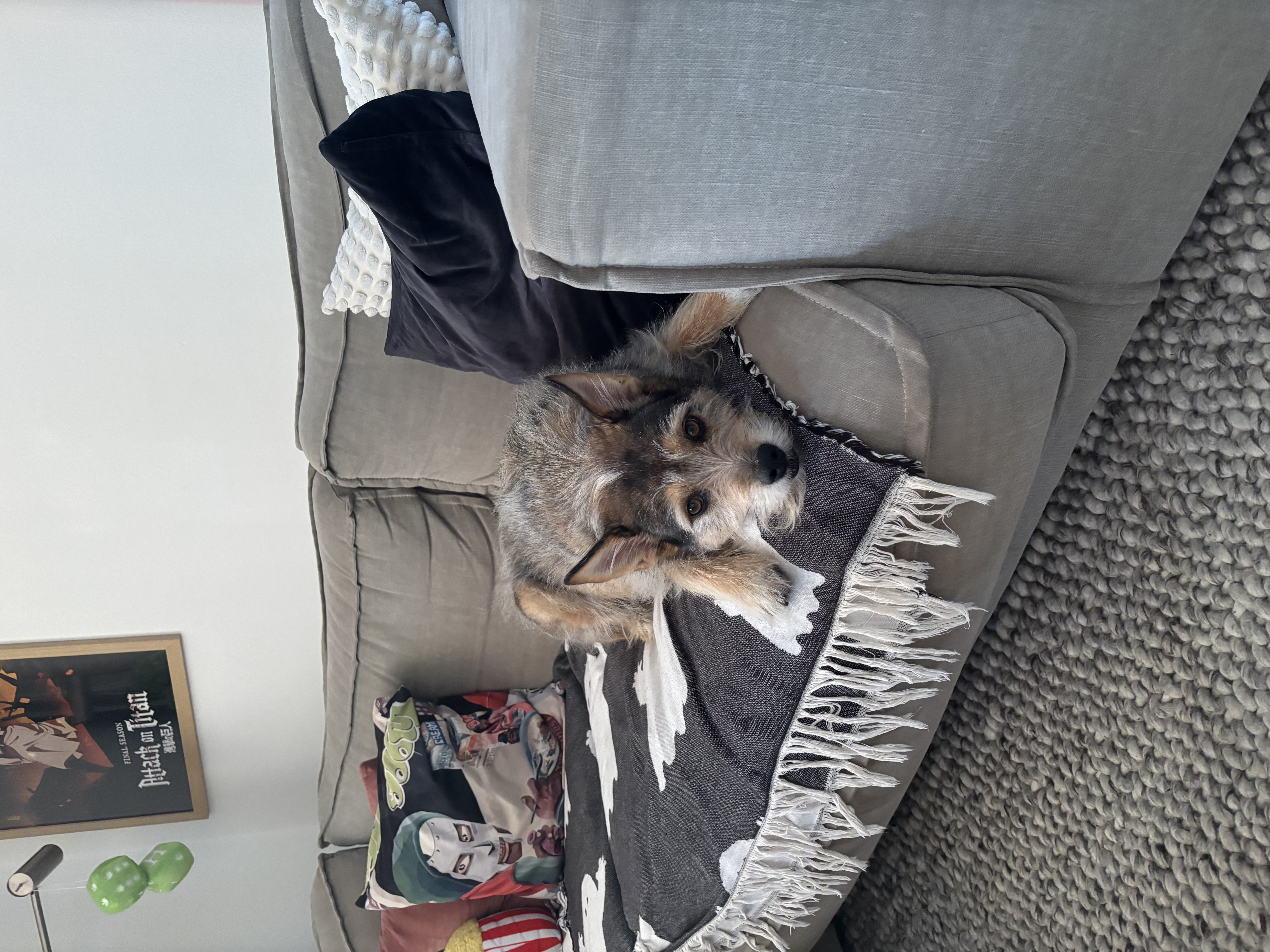 image-18