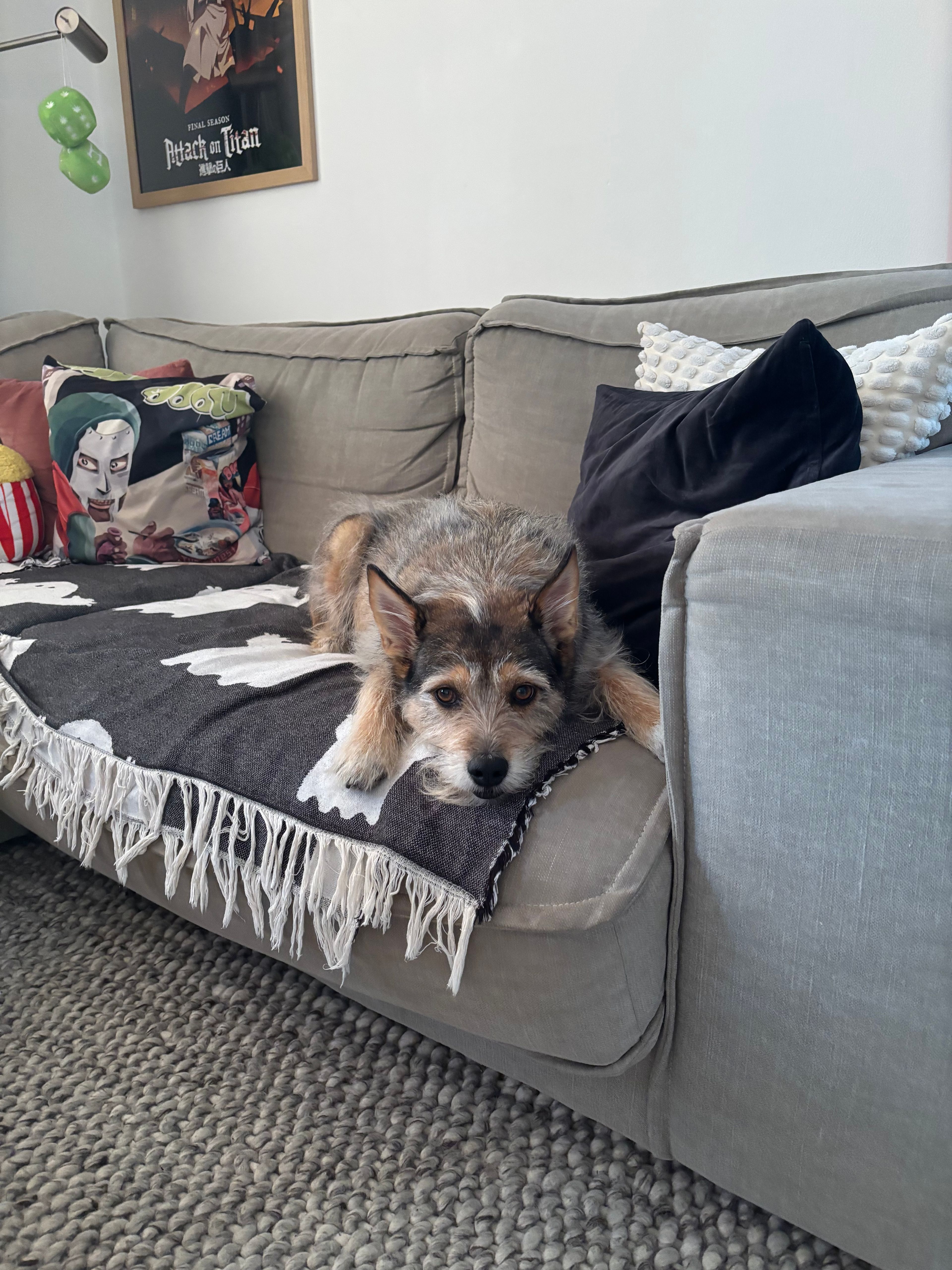 image-18