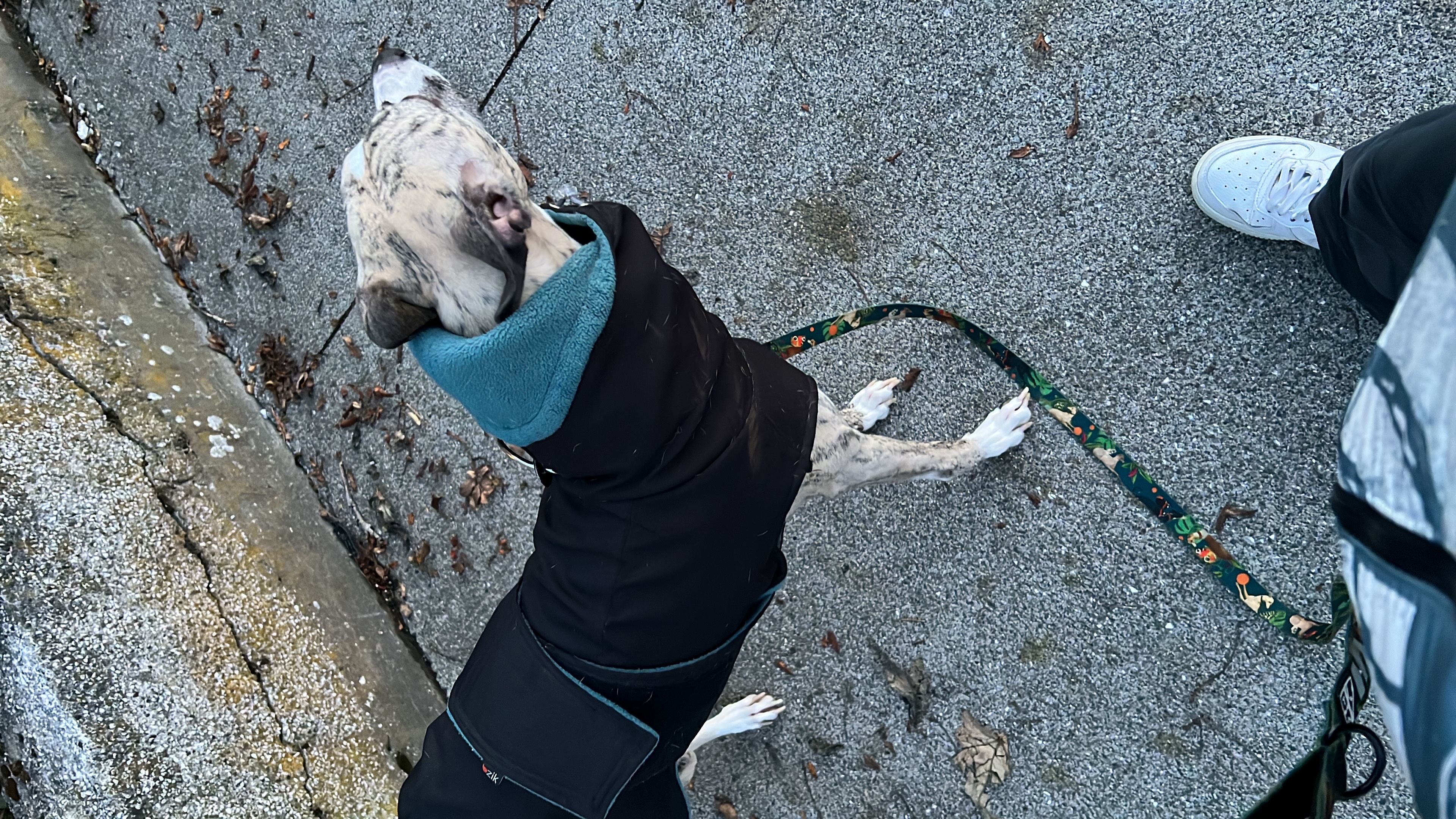 image-7