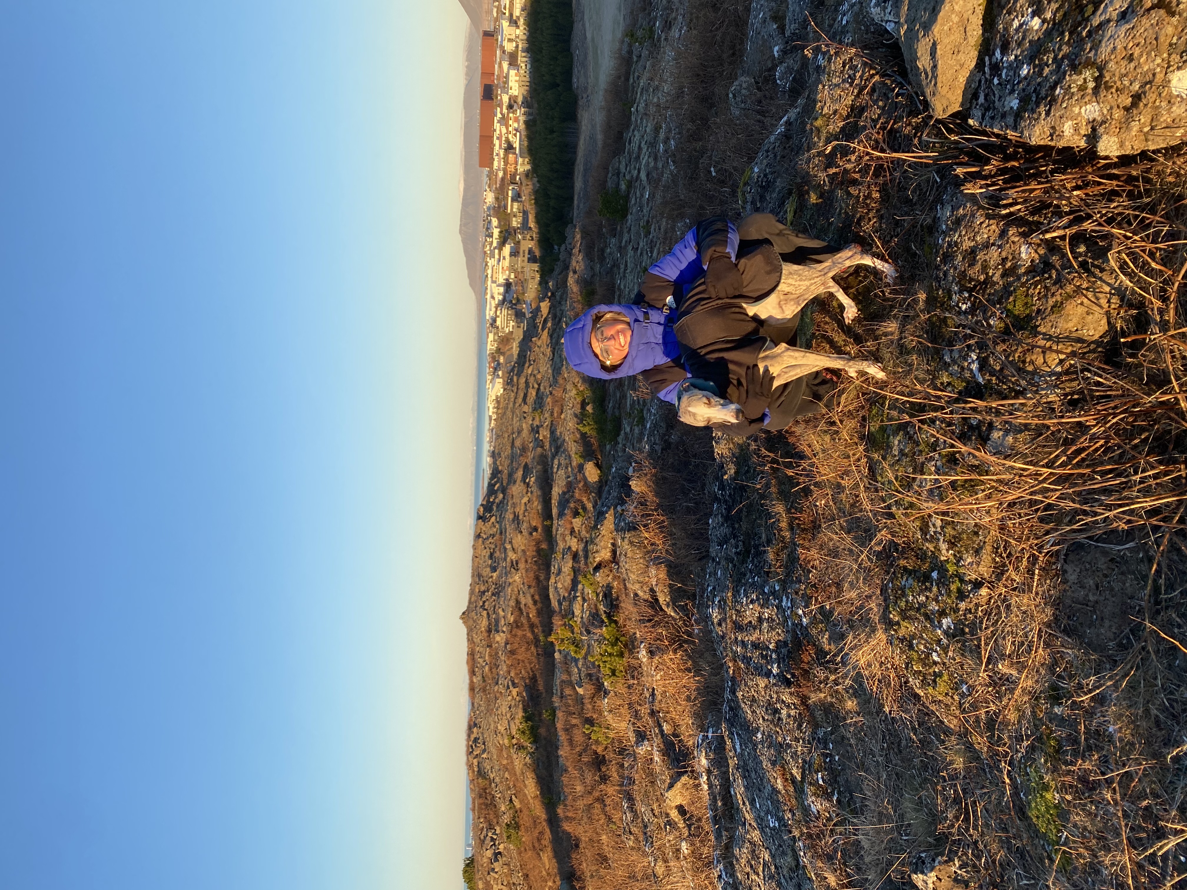 image-4
