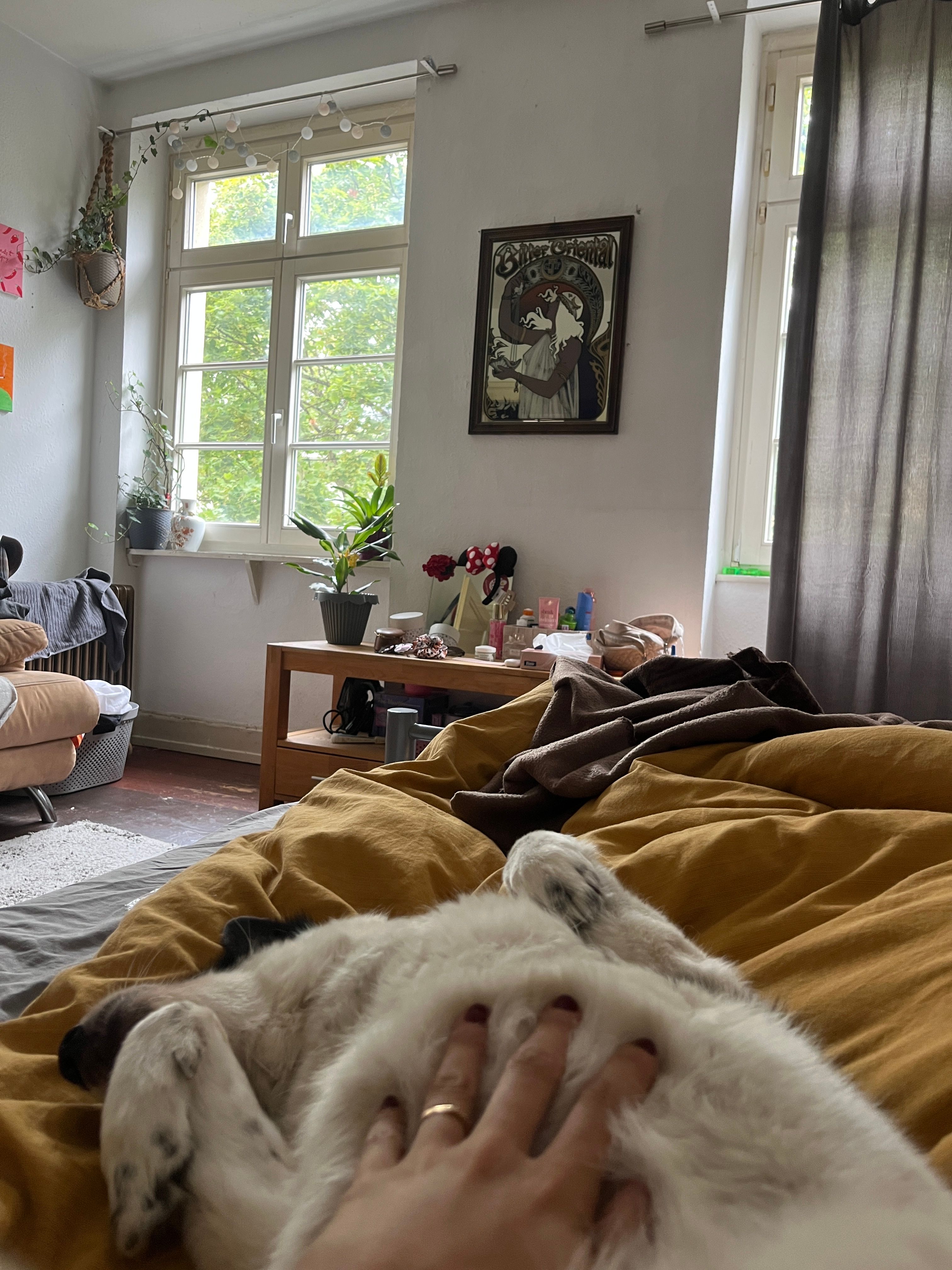 image-19