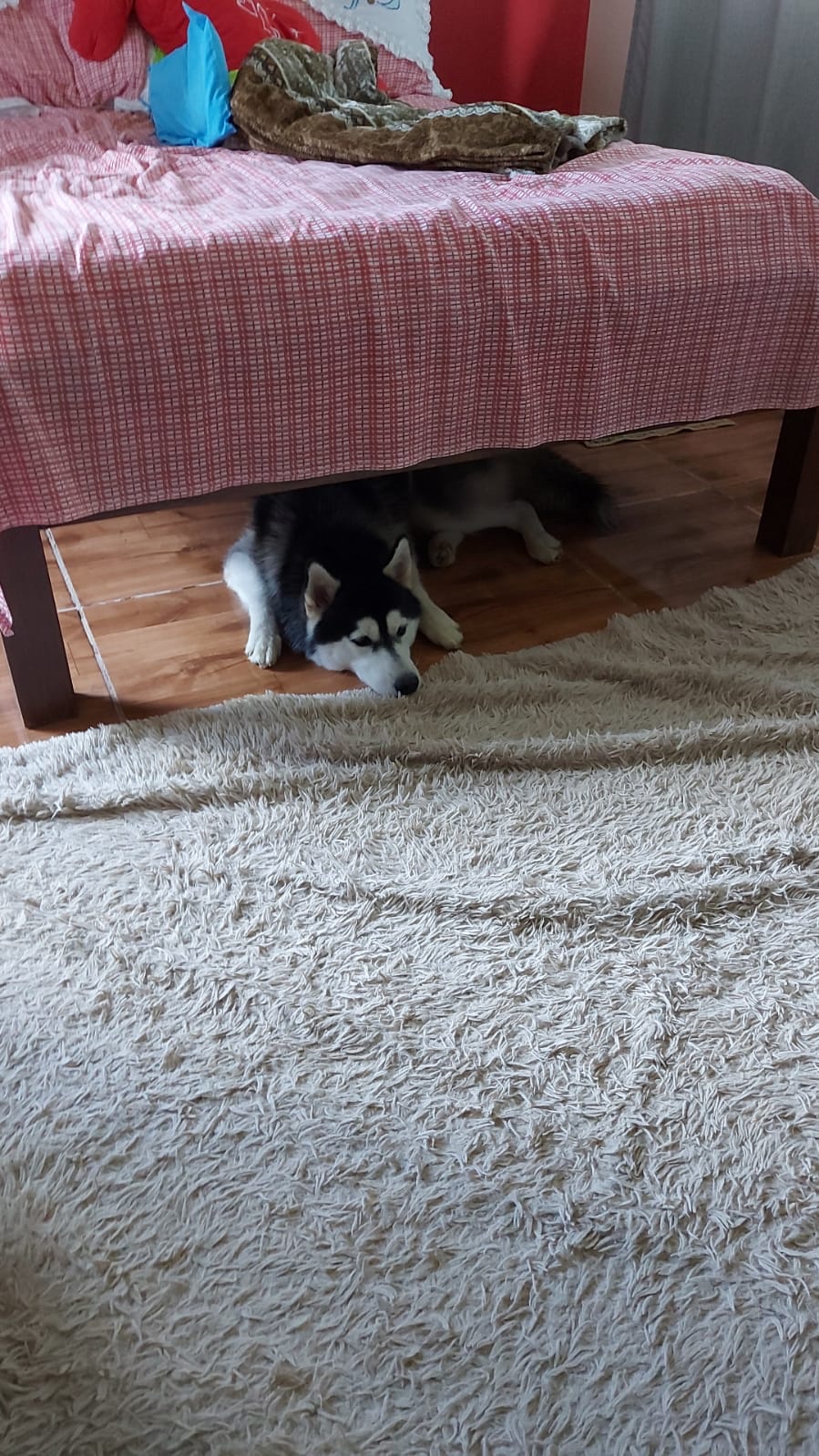 image-16