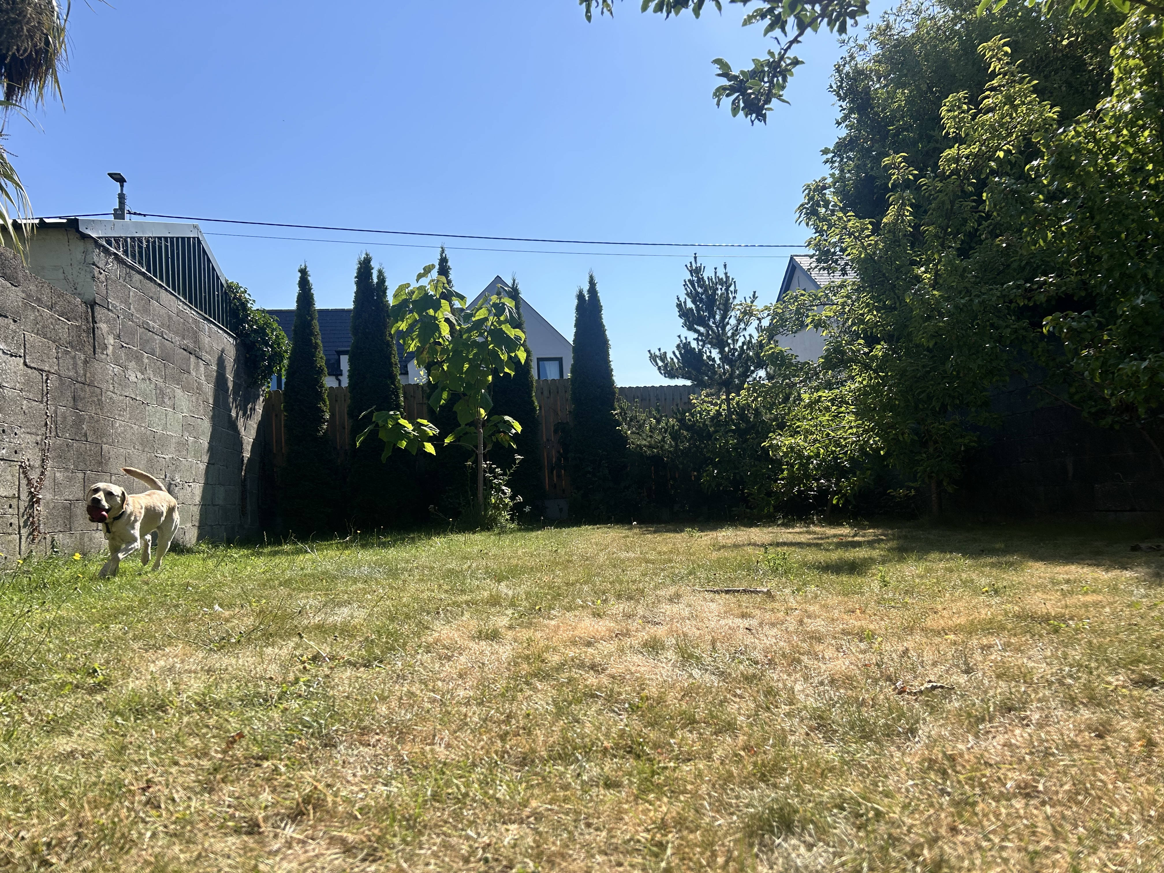 image-28