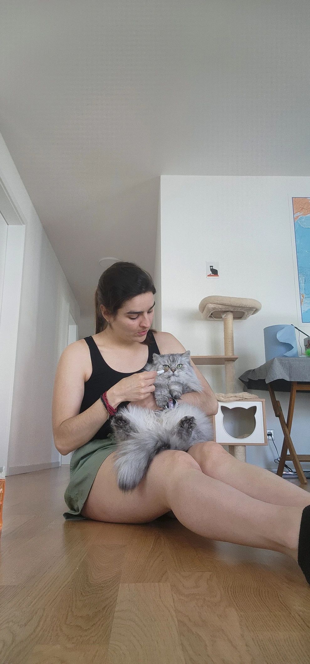 image-15