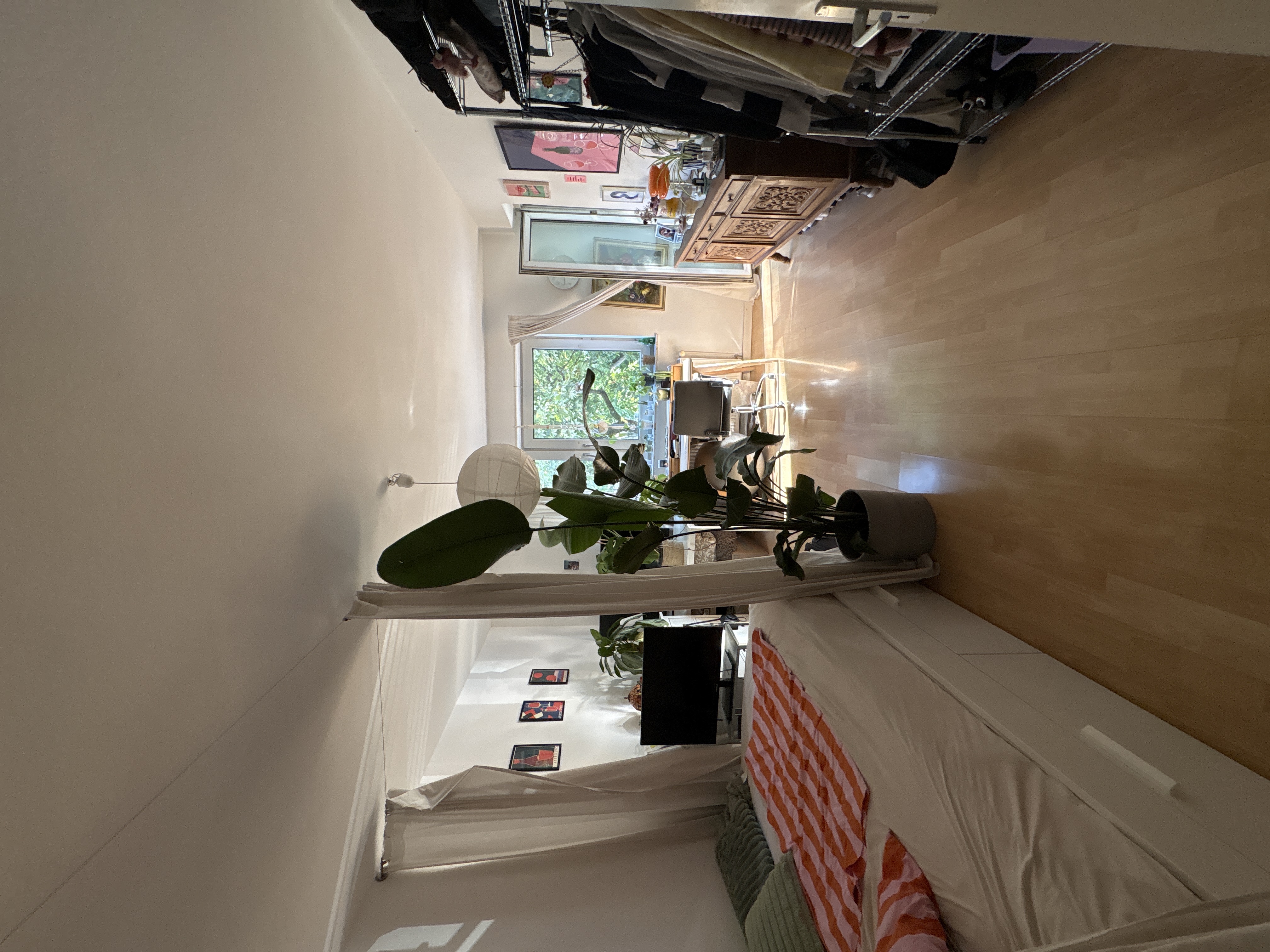 image-19