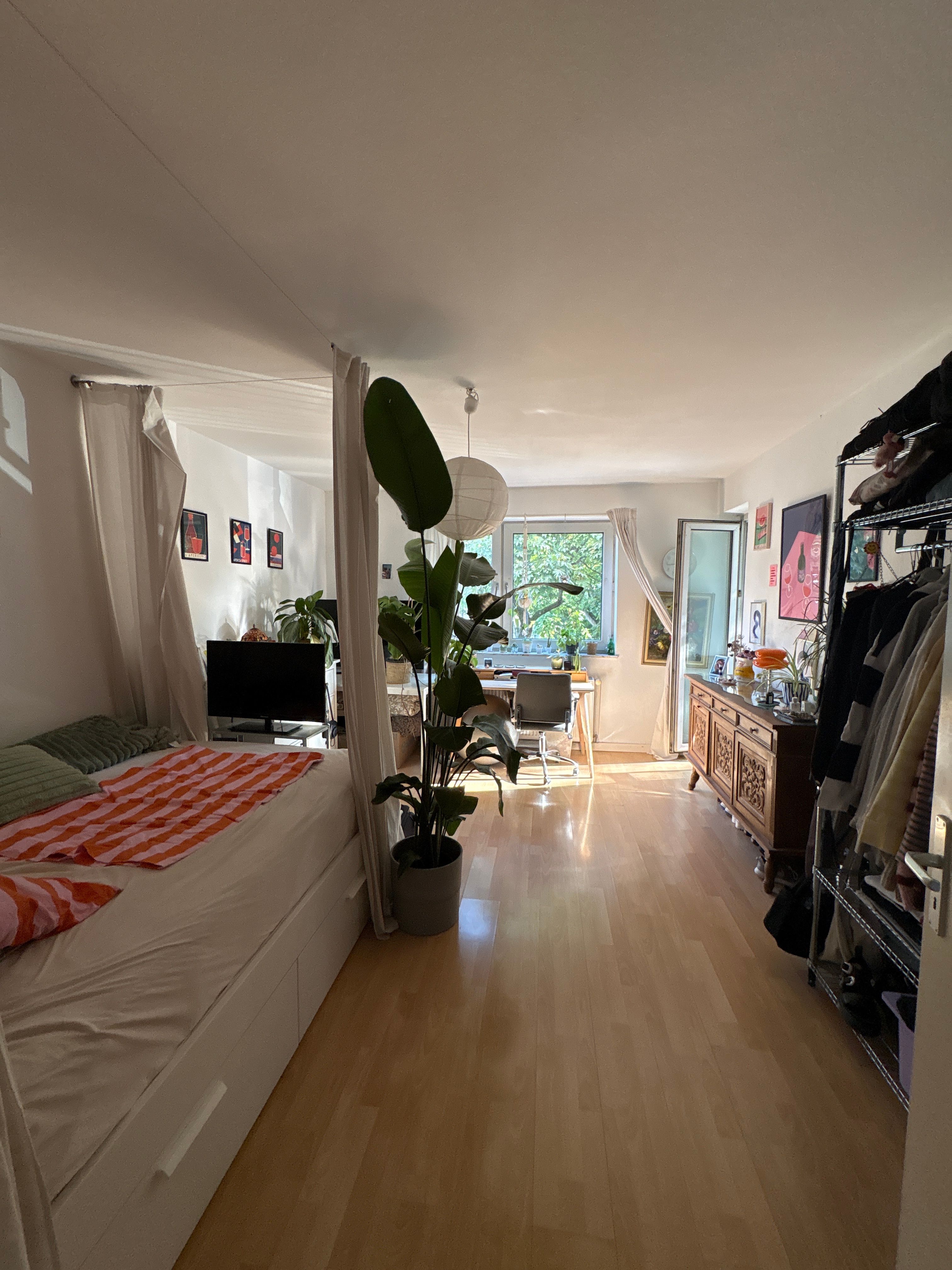 image-19