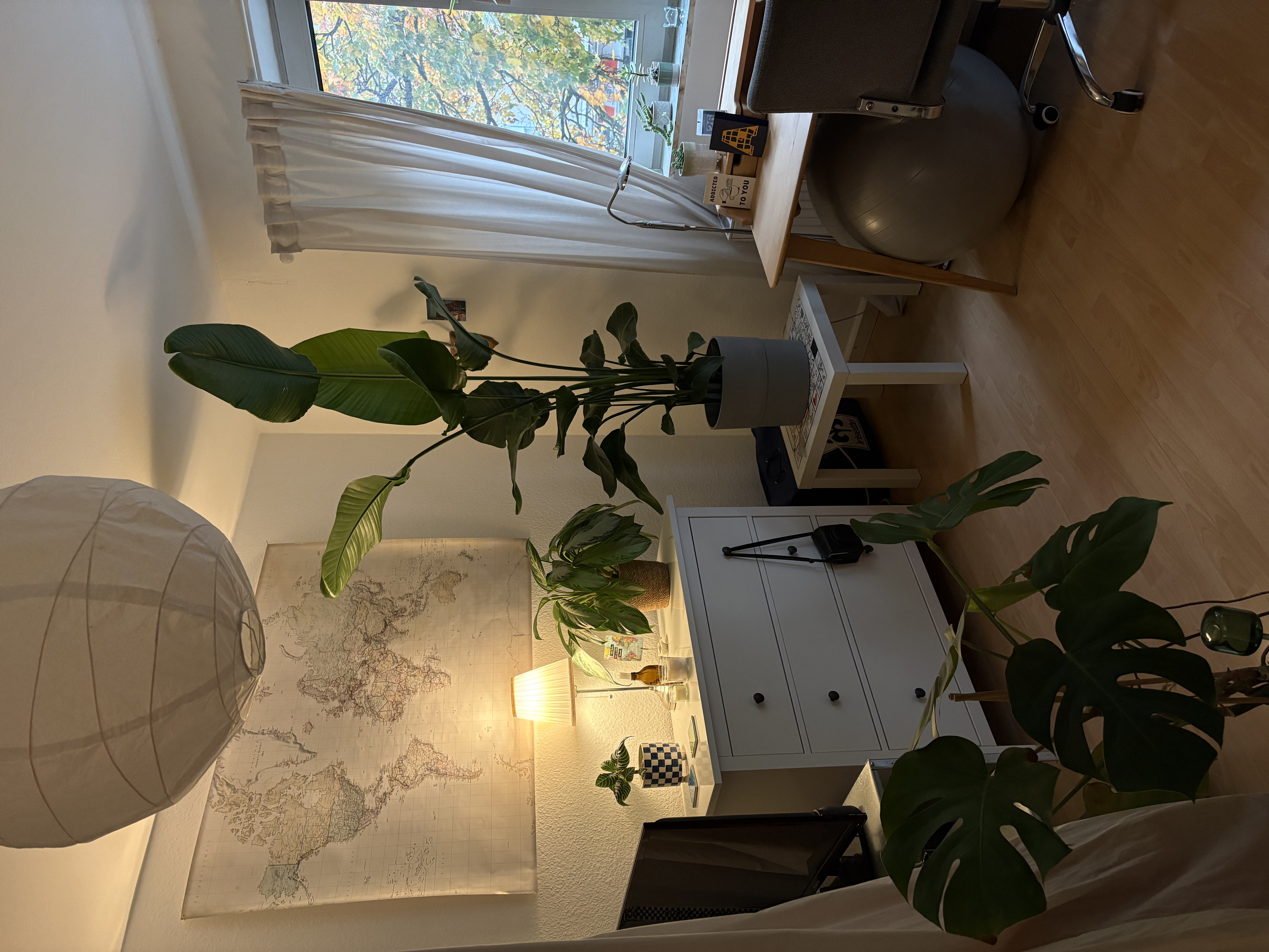 image-14