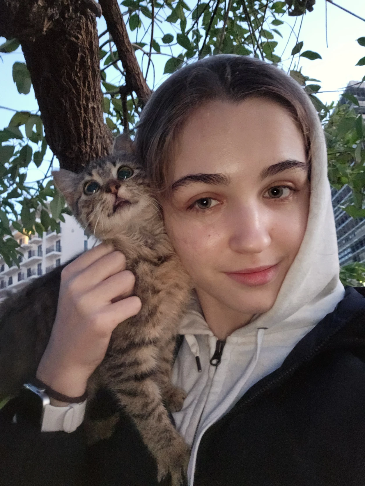 image-11