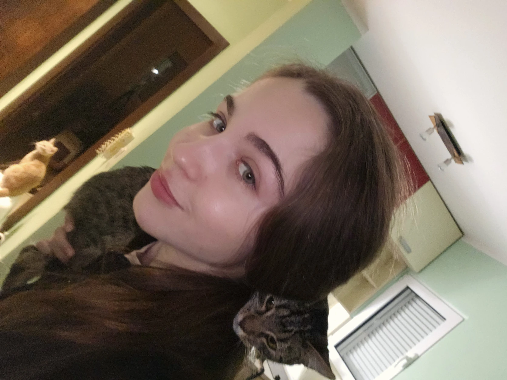 image-7
