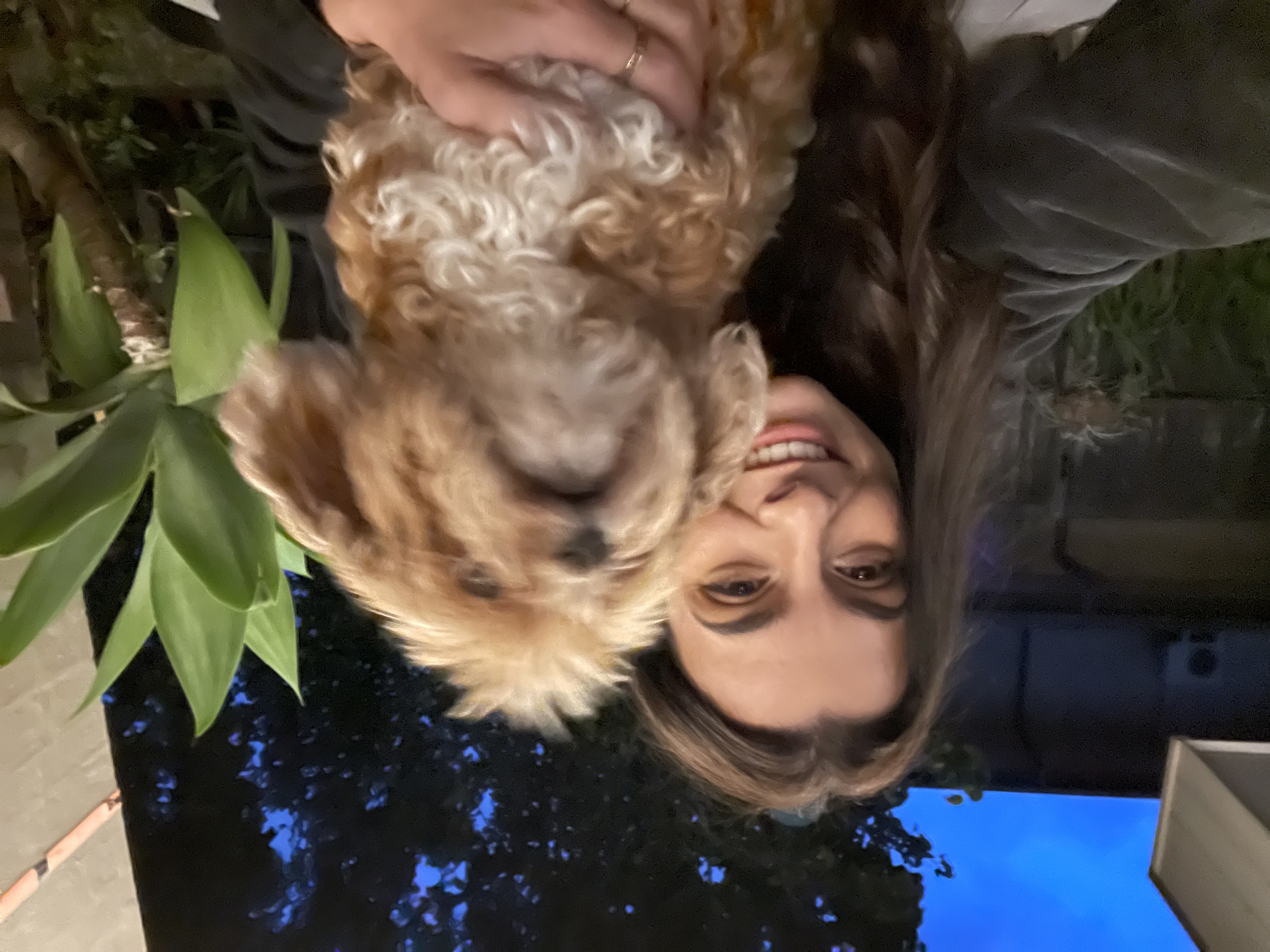 image-6