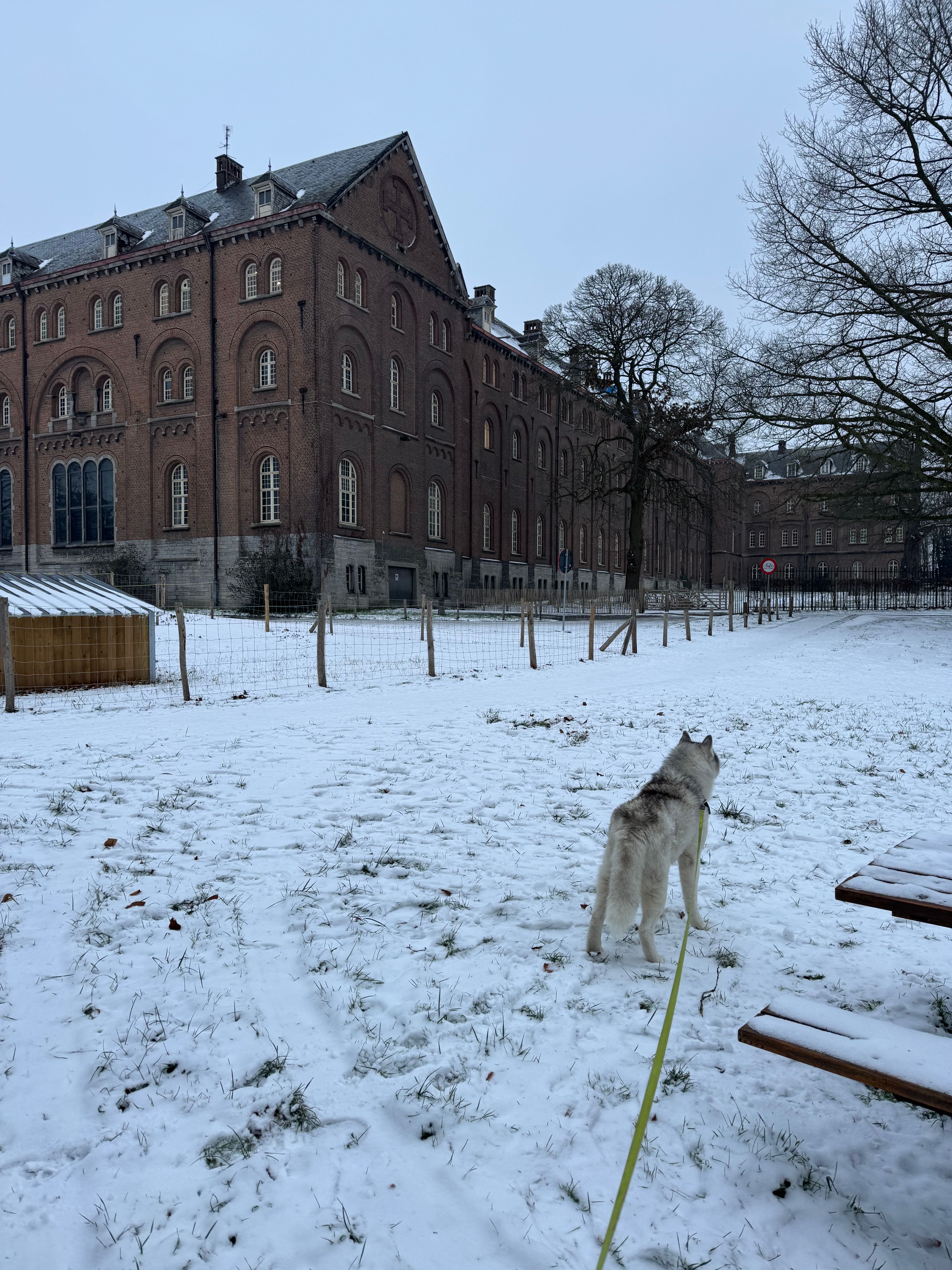 image-6