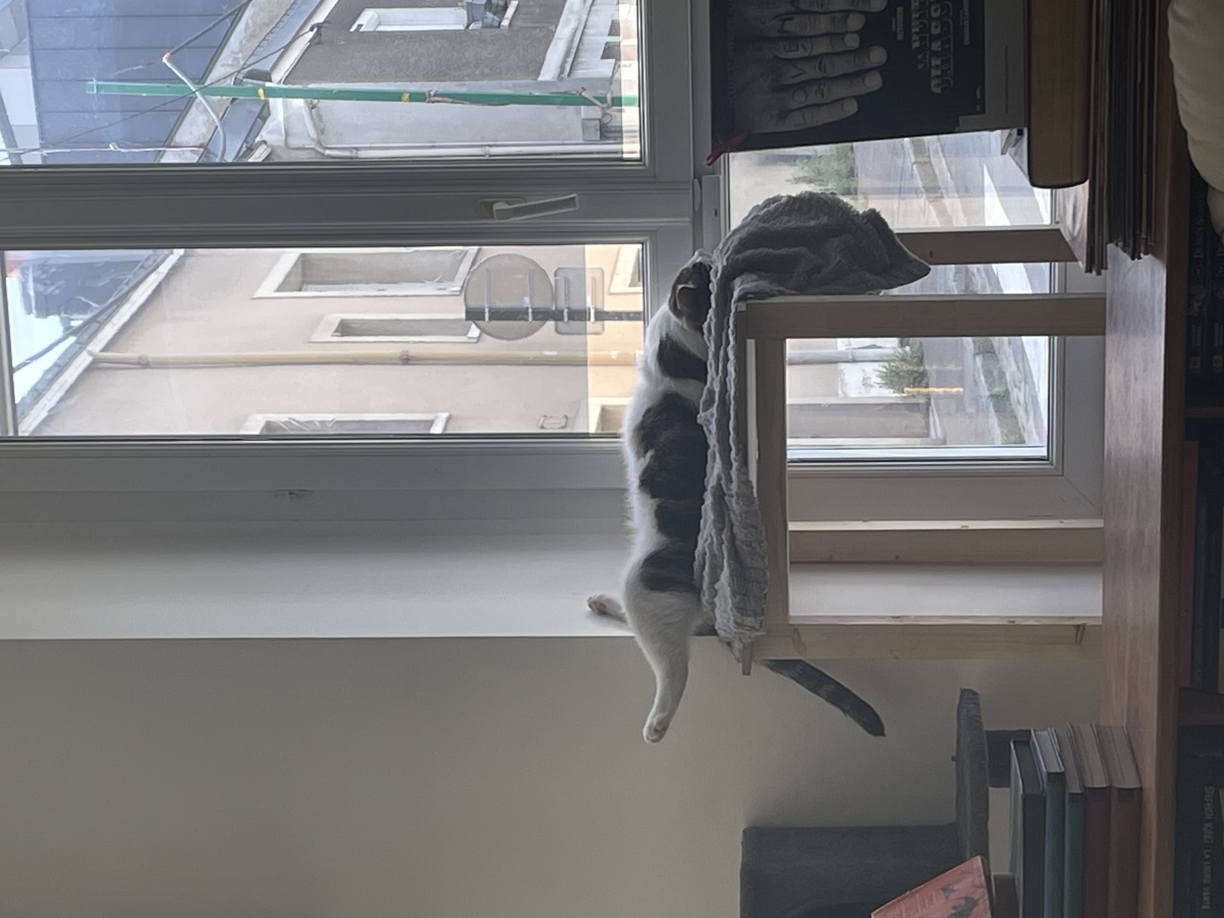 image-5