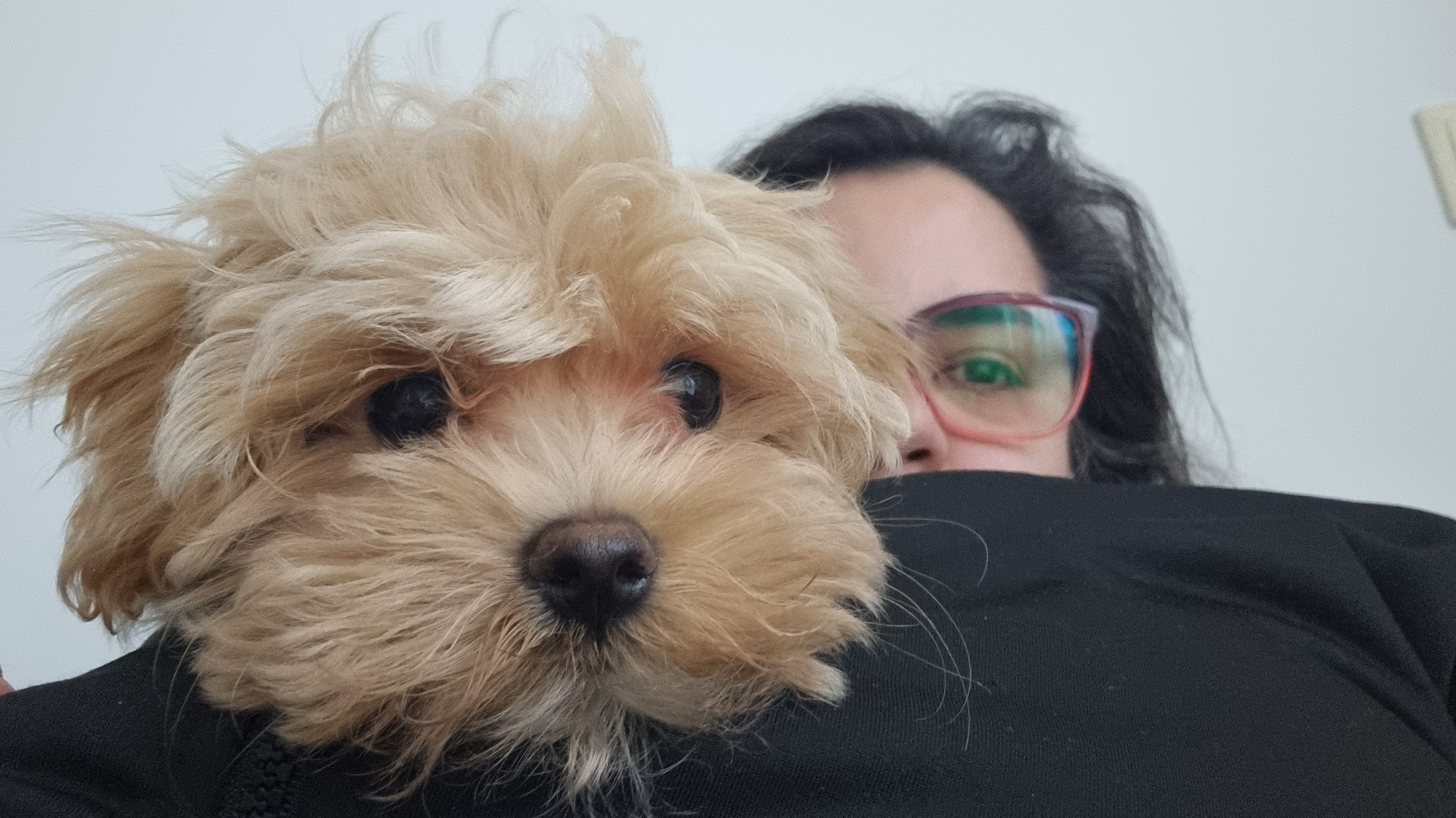 image-8