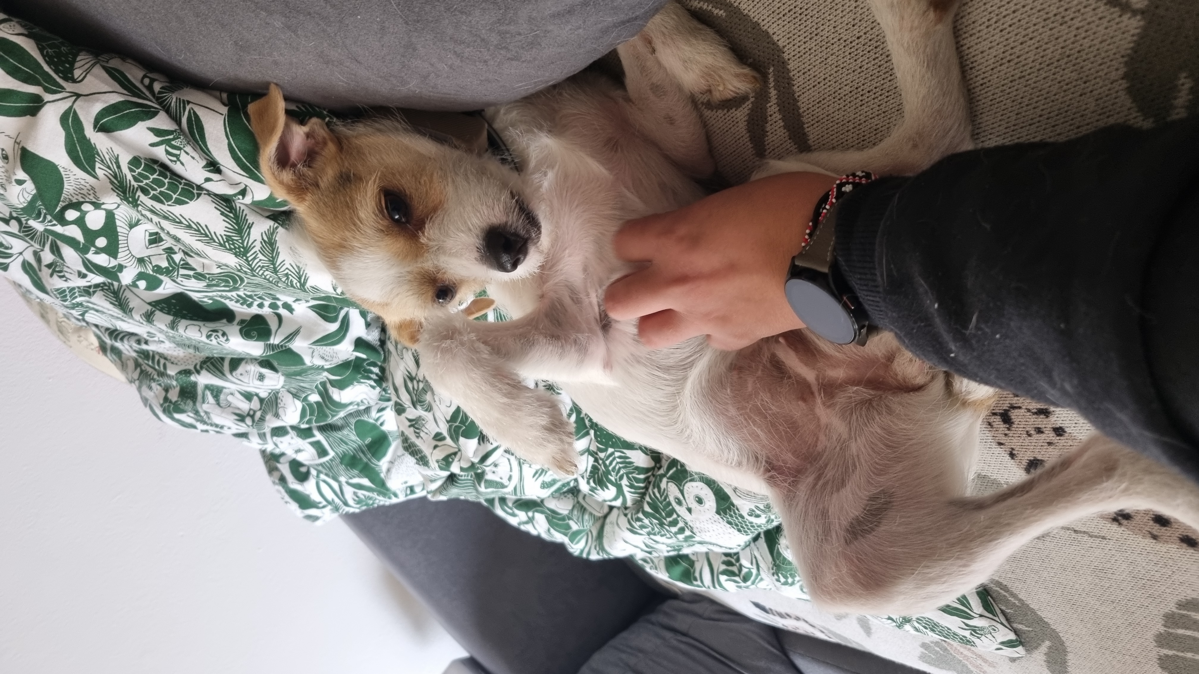 image-7