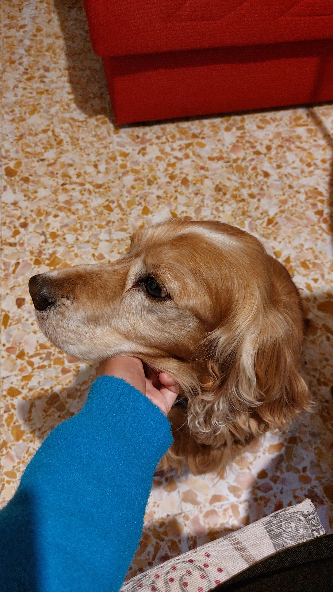 image-10