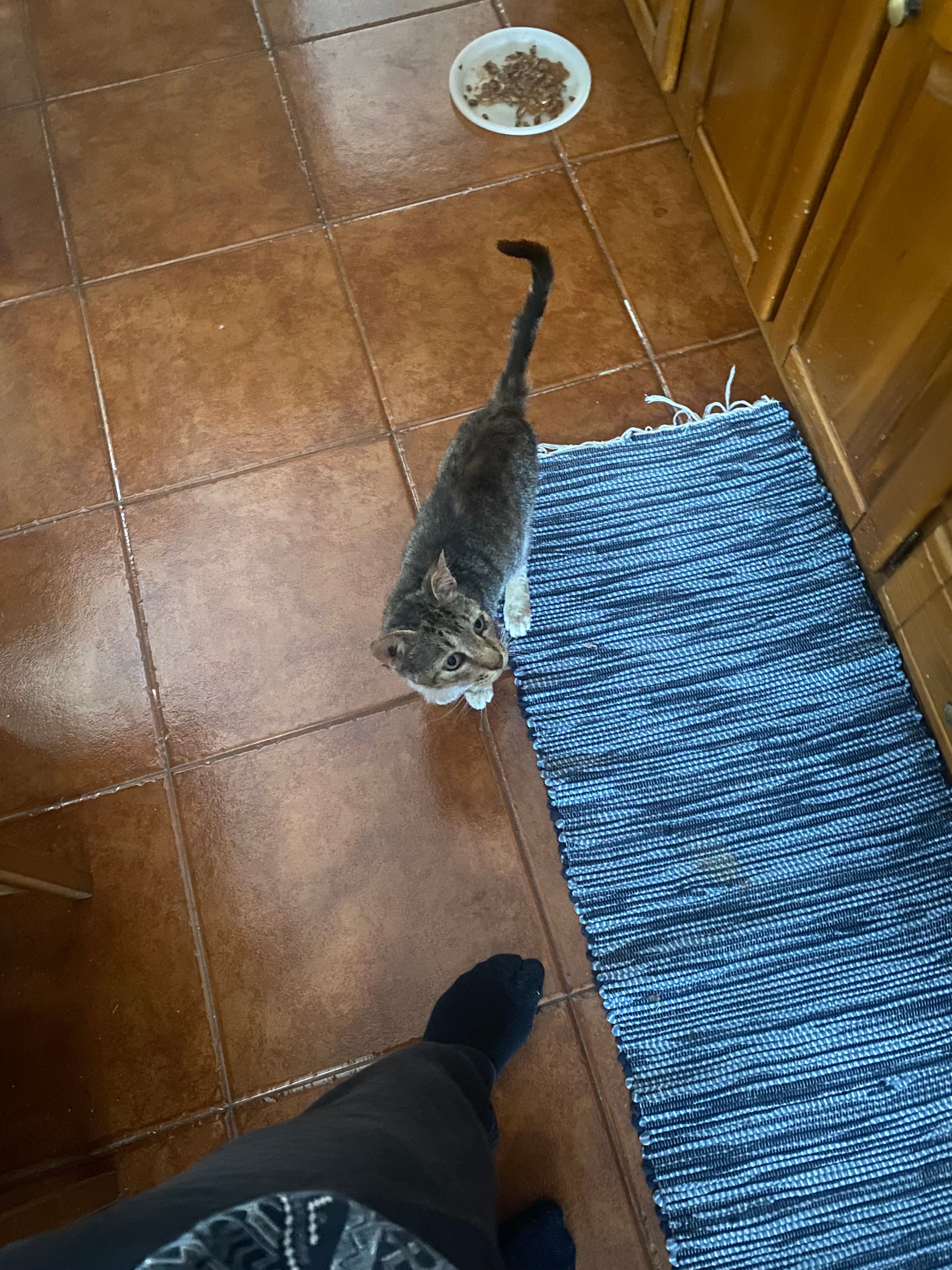 image-9