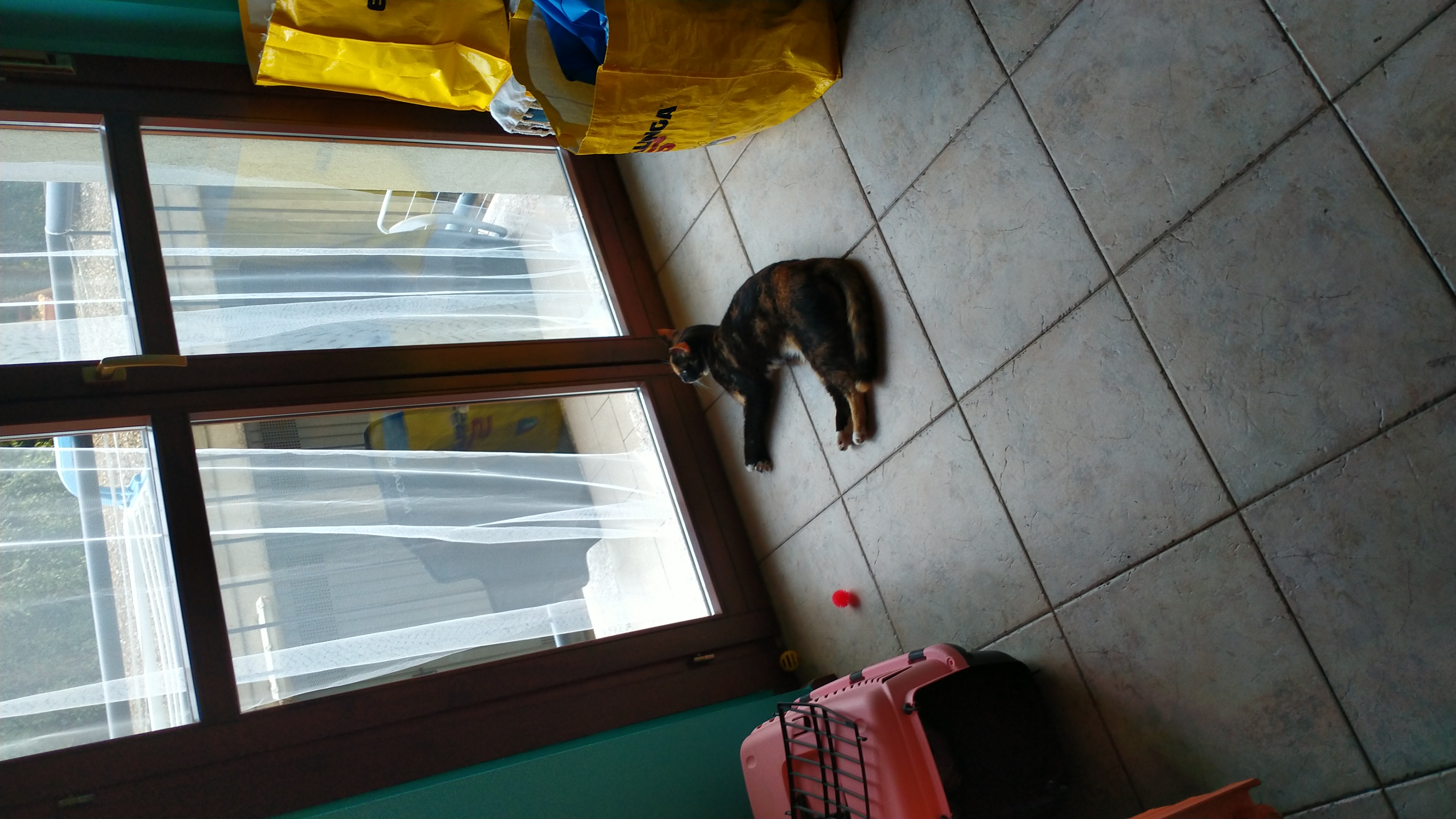 image-11