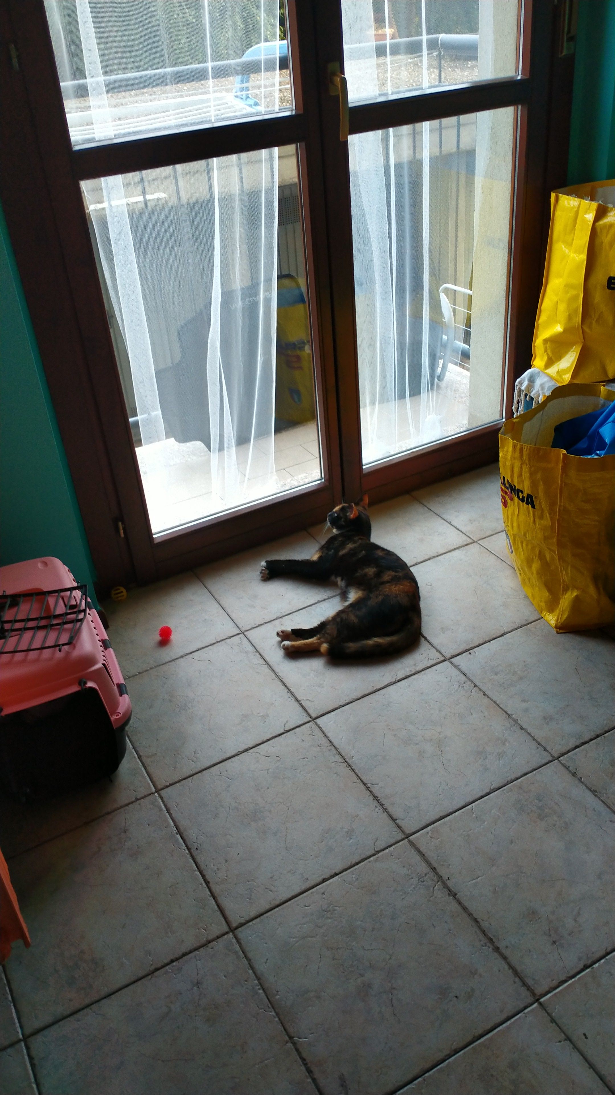 image-11