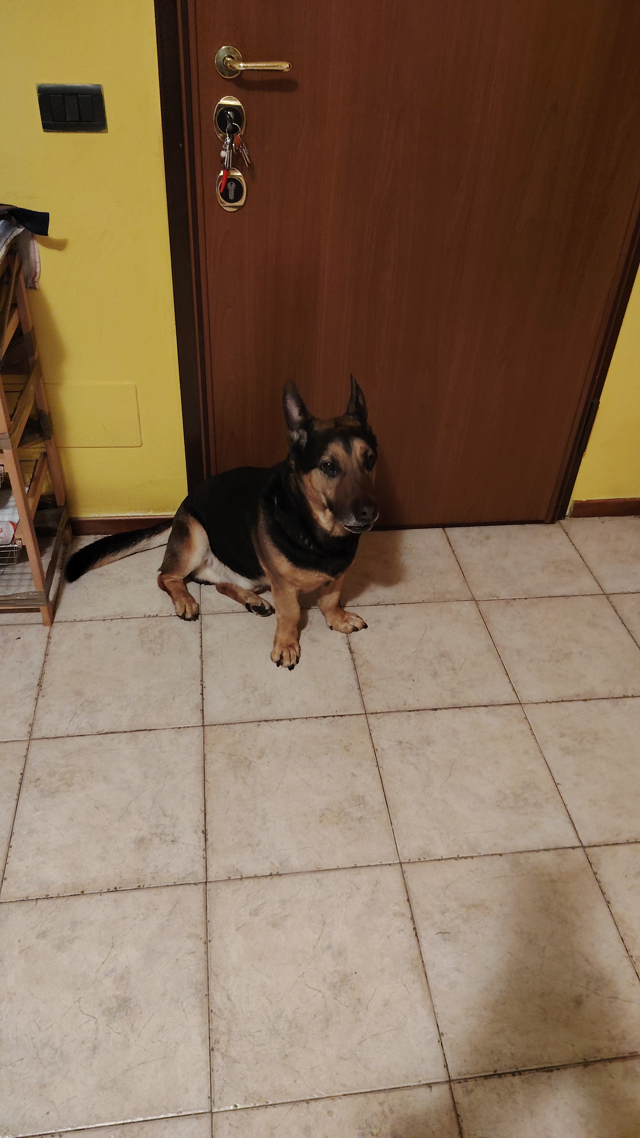 image-23