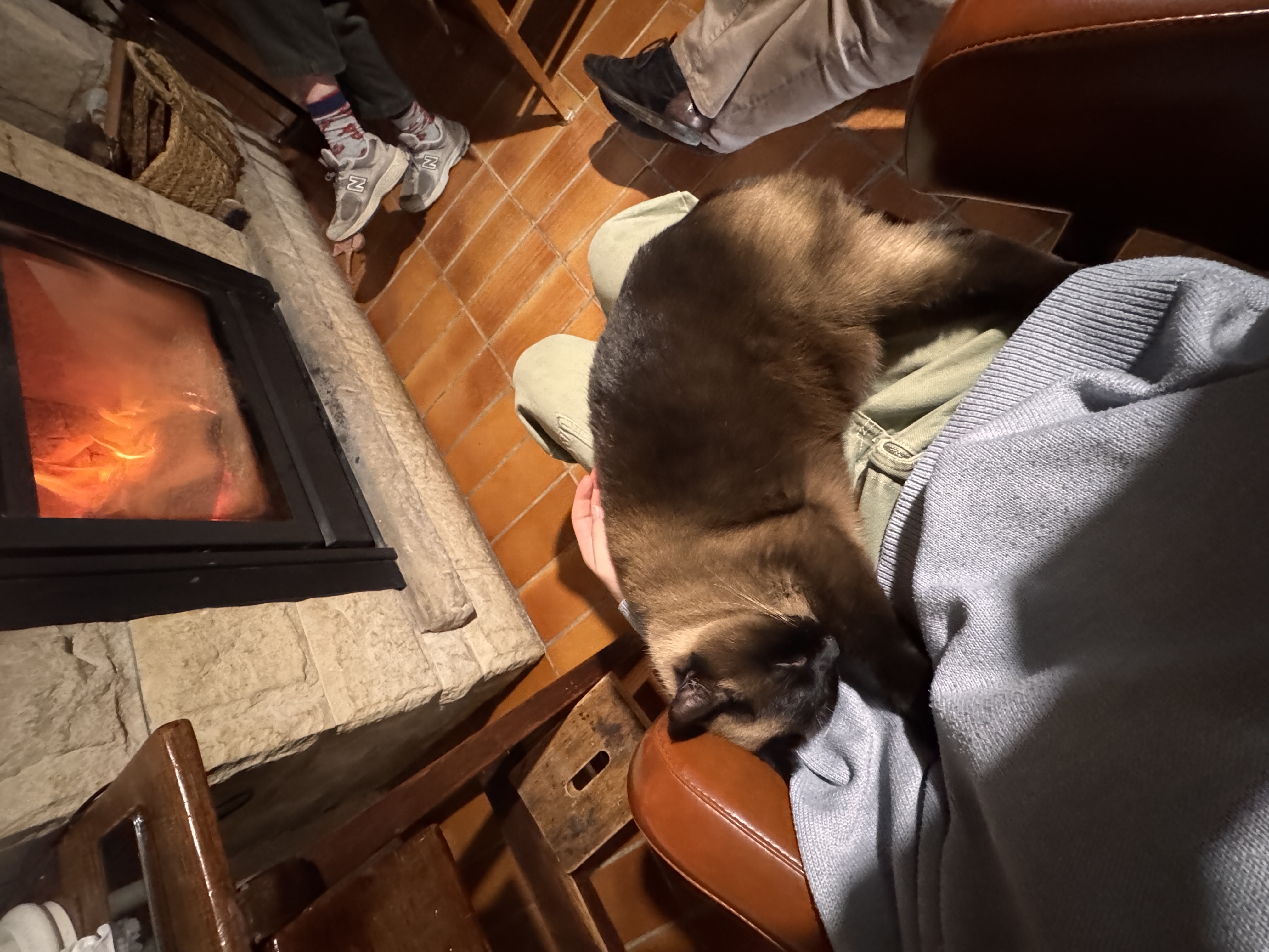 image-7
