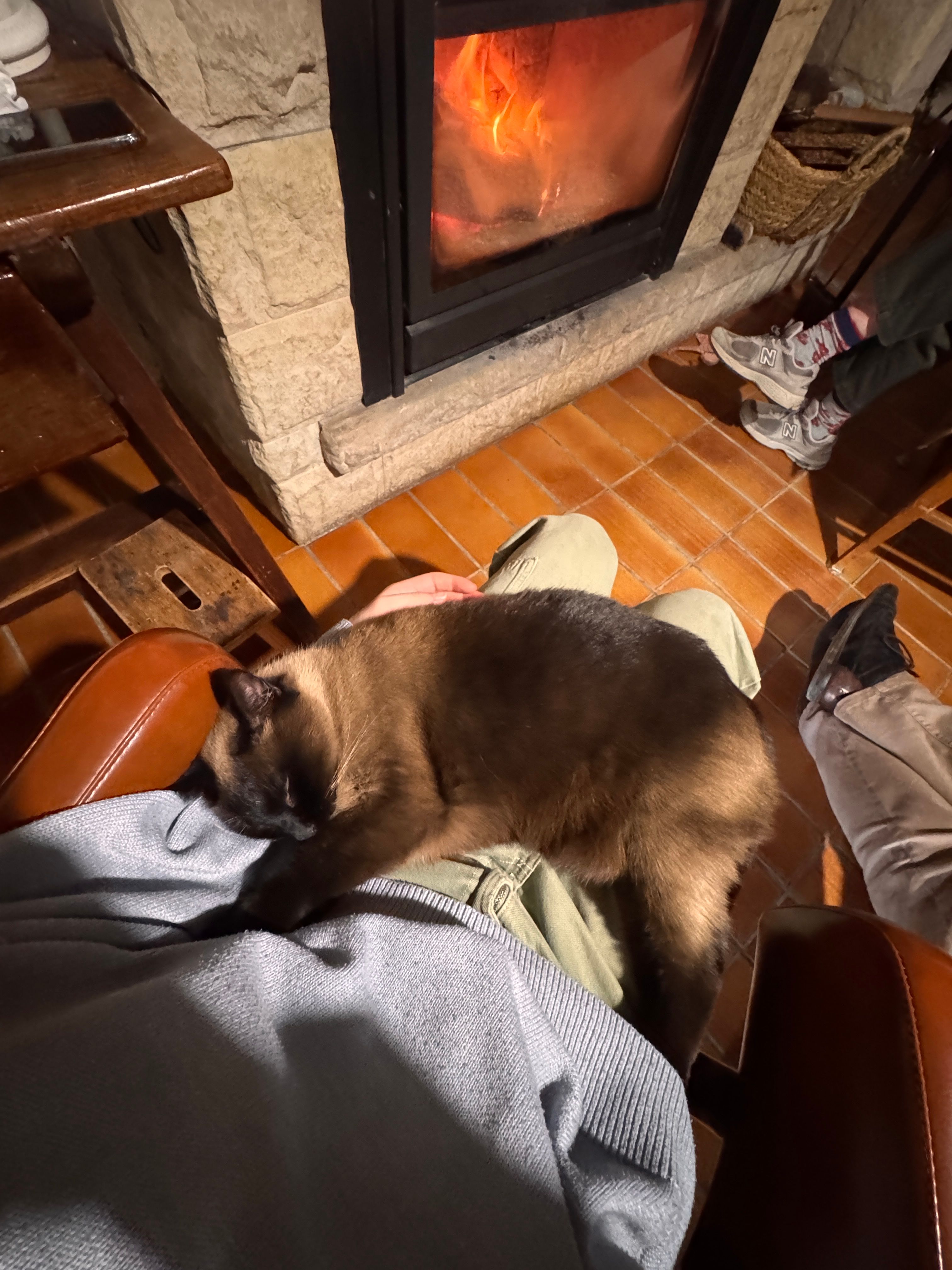 image-7