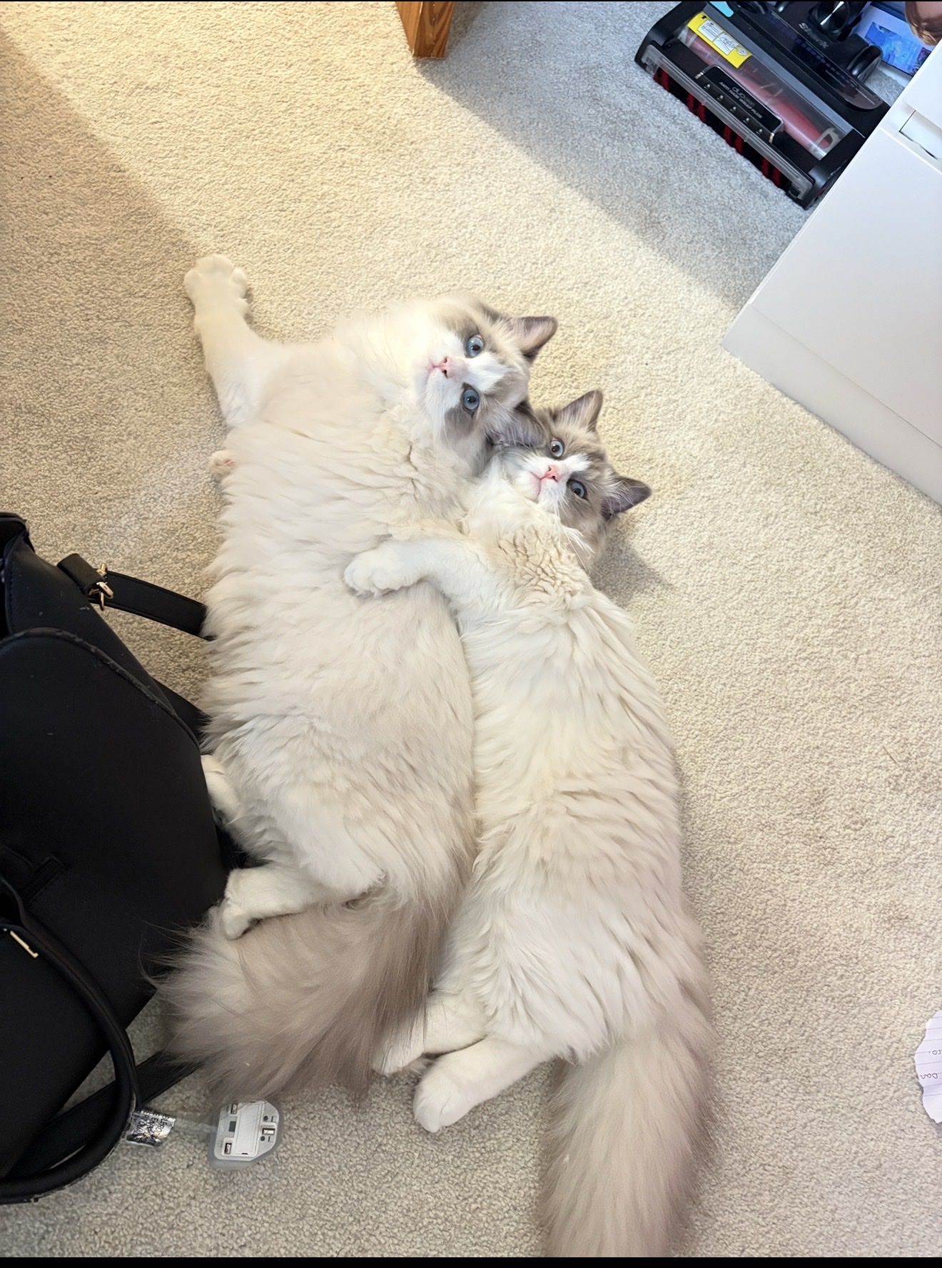 image-13