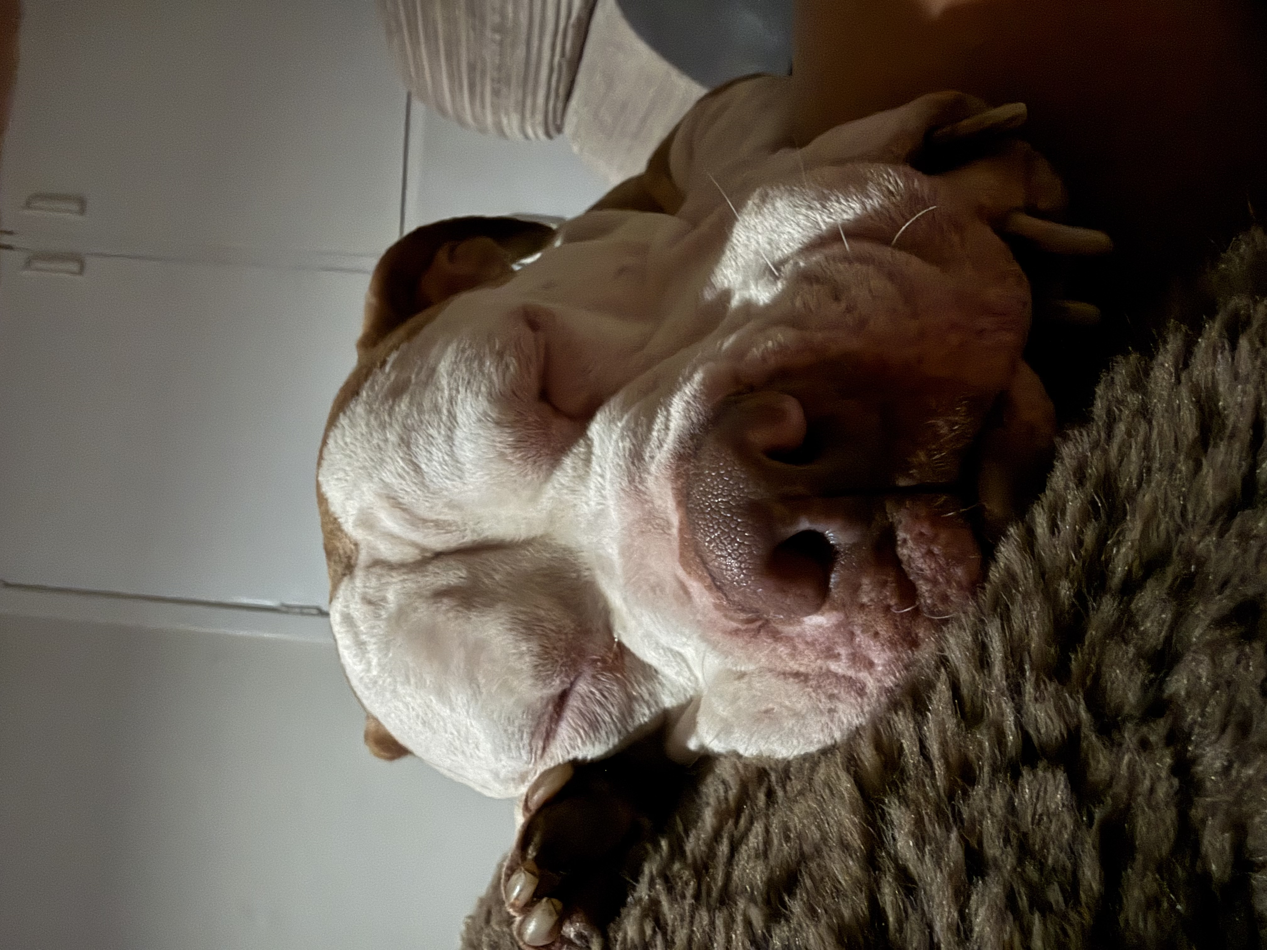 image-8