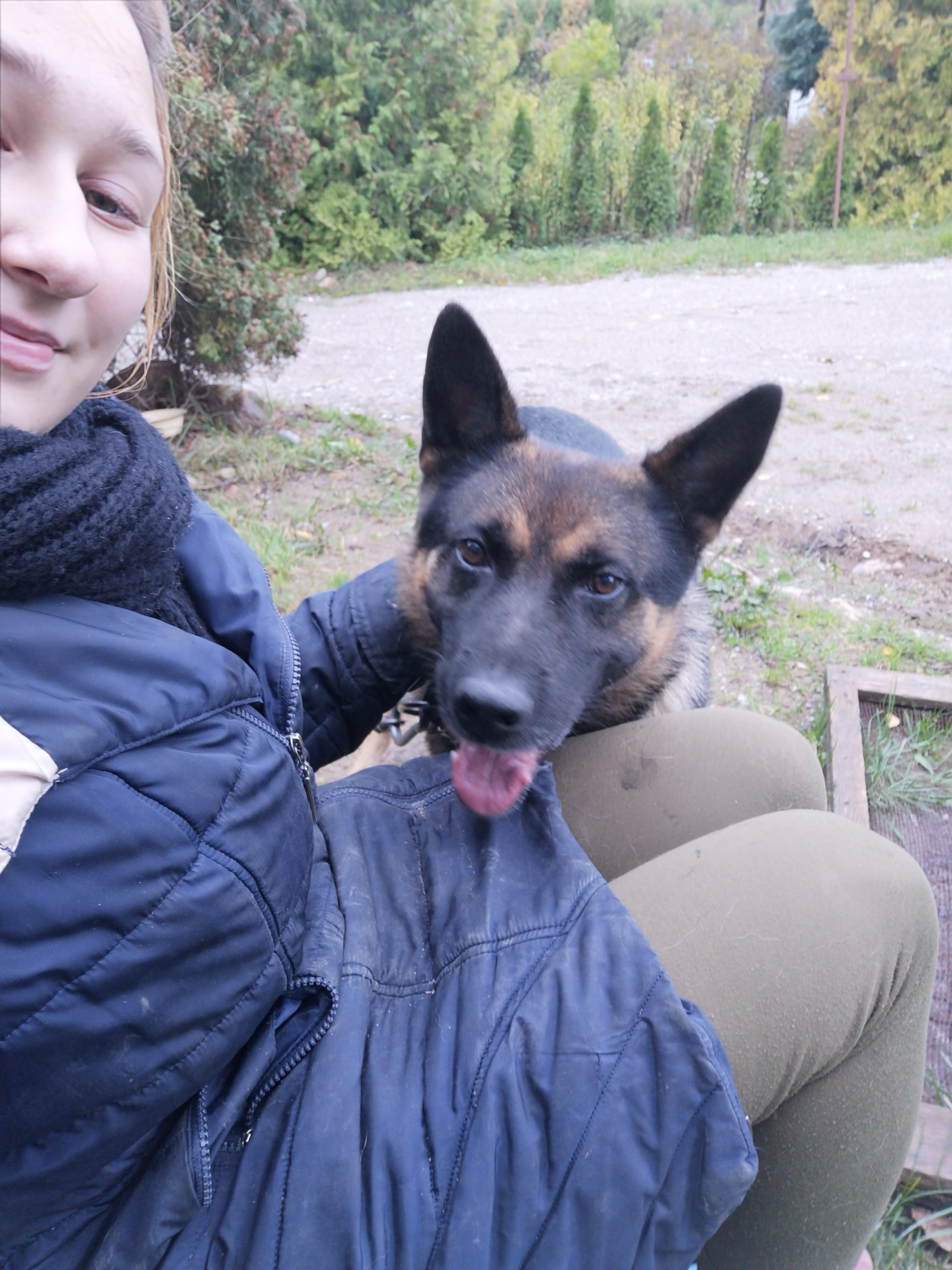 image-6