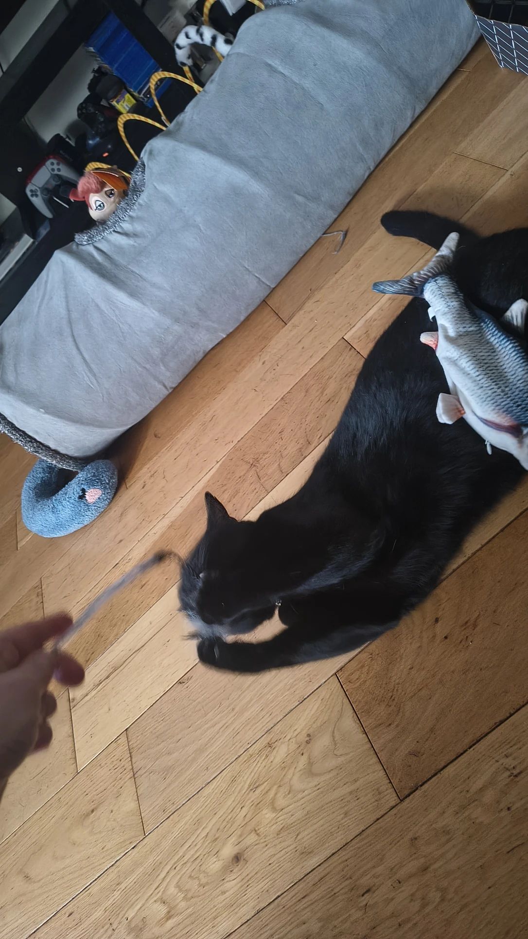 image-7