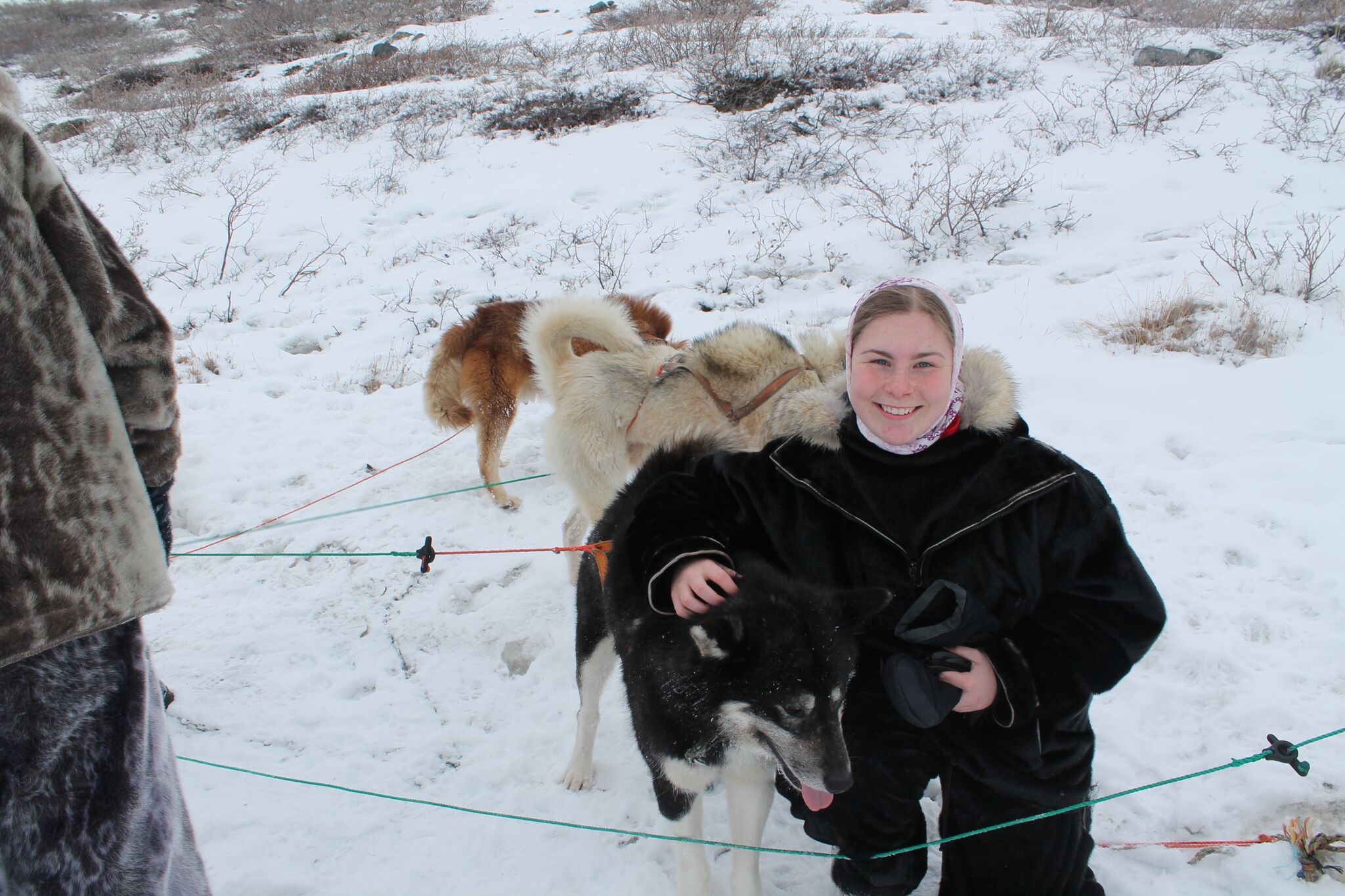 image-8