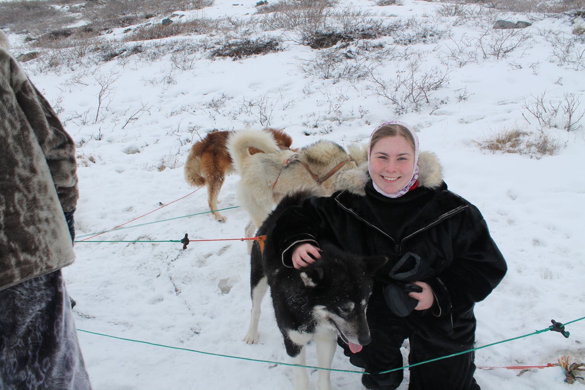 image-8