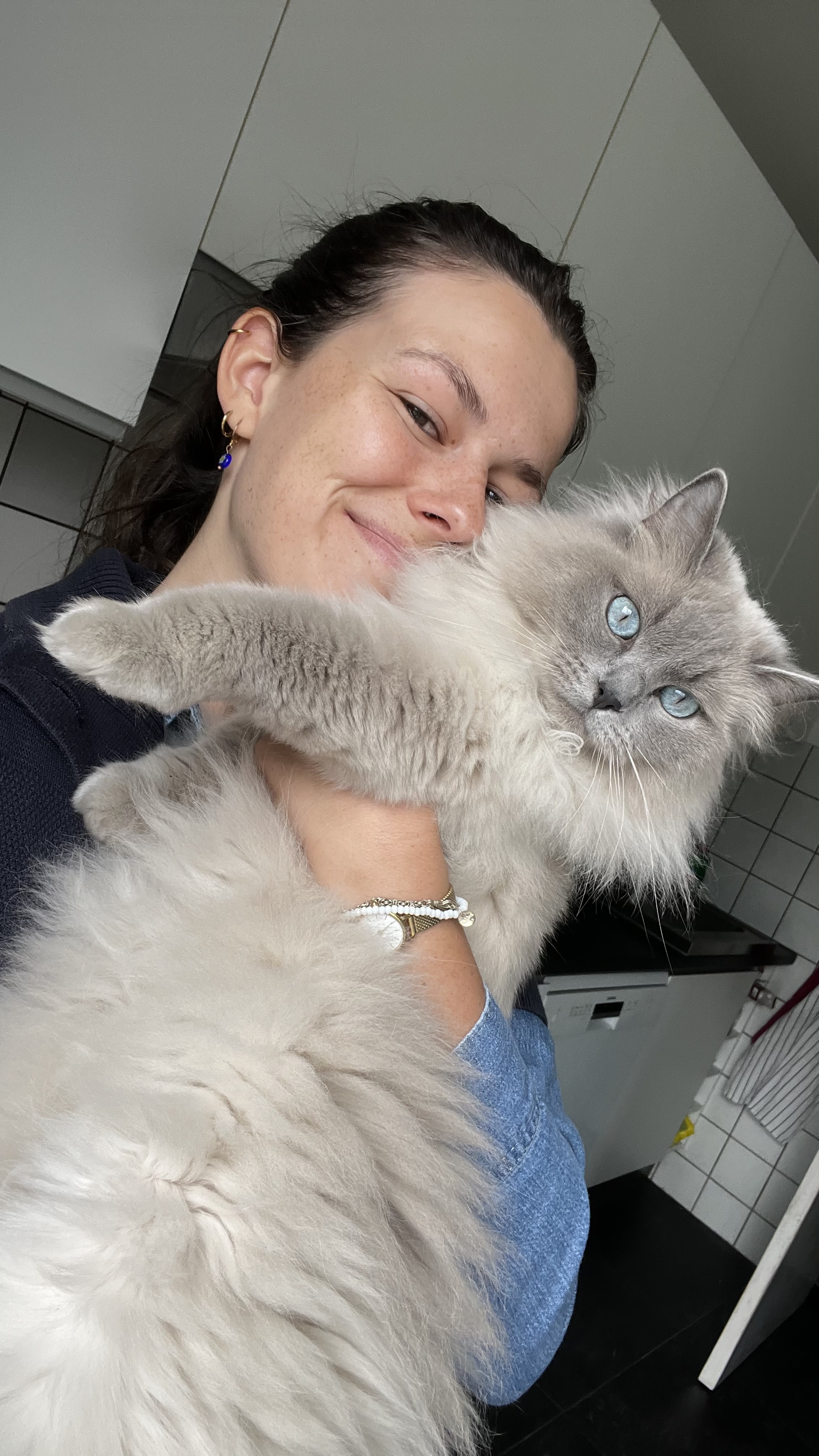 image-2