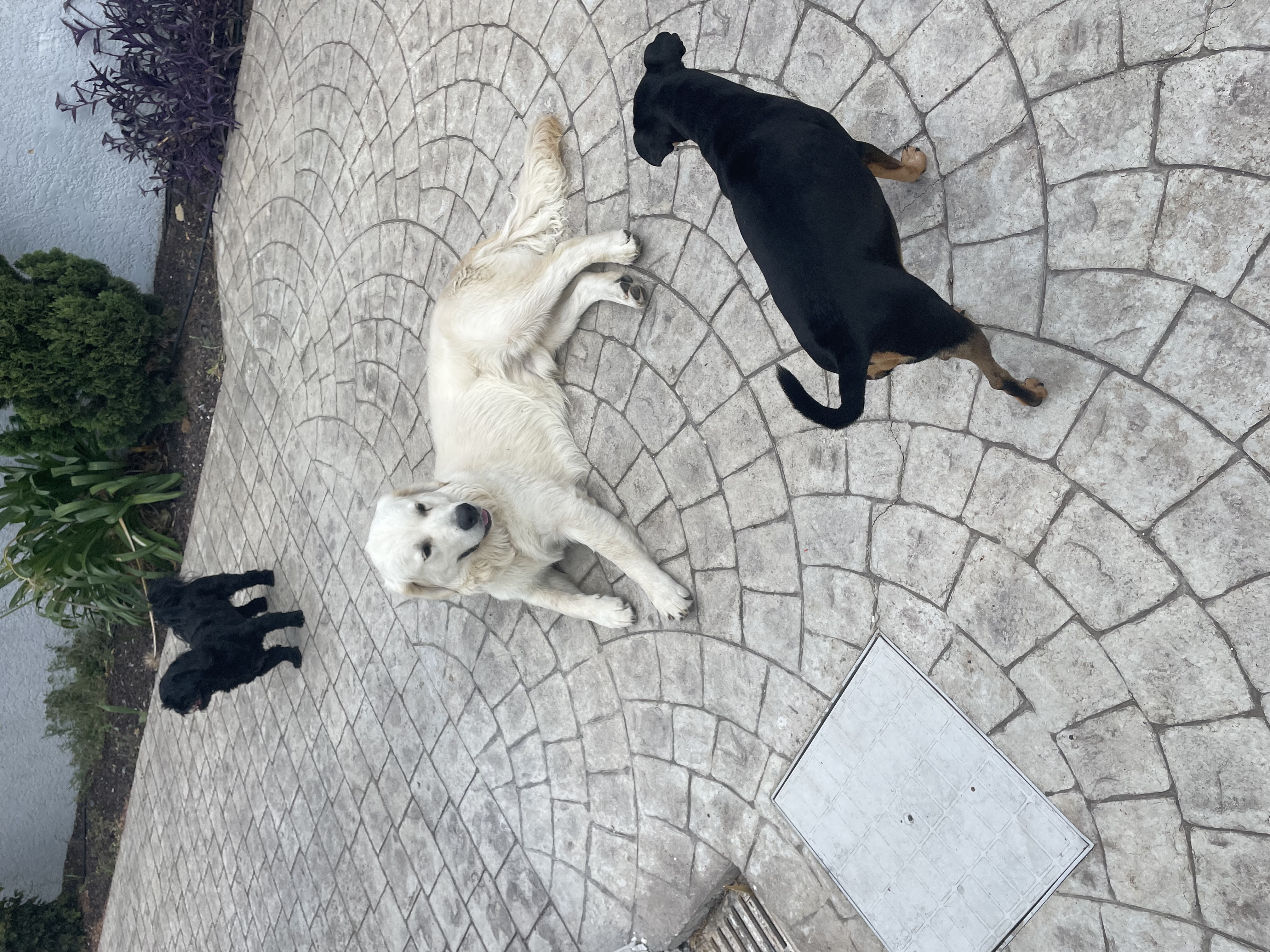 image-18