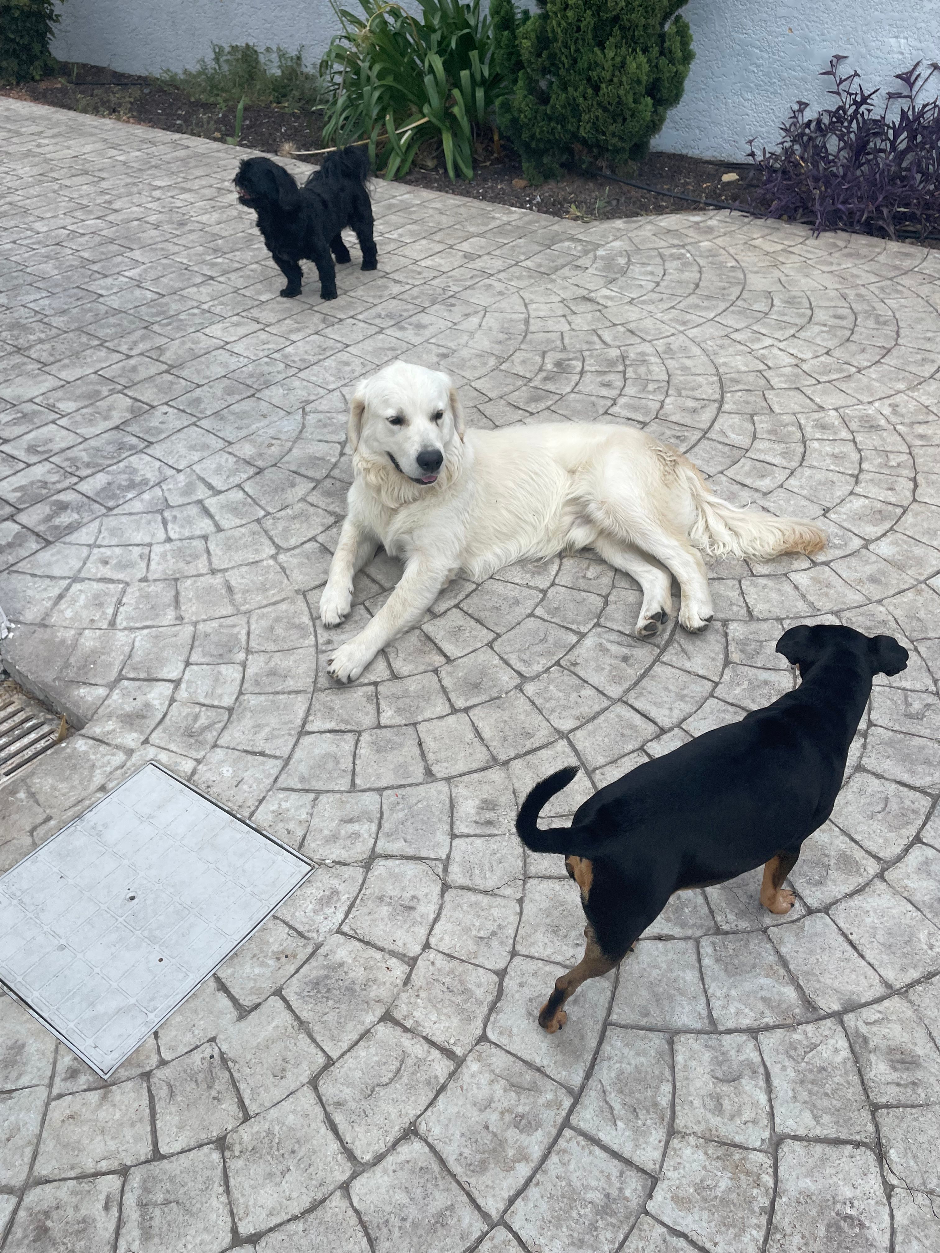 image-18