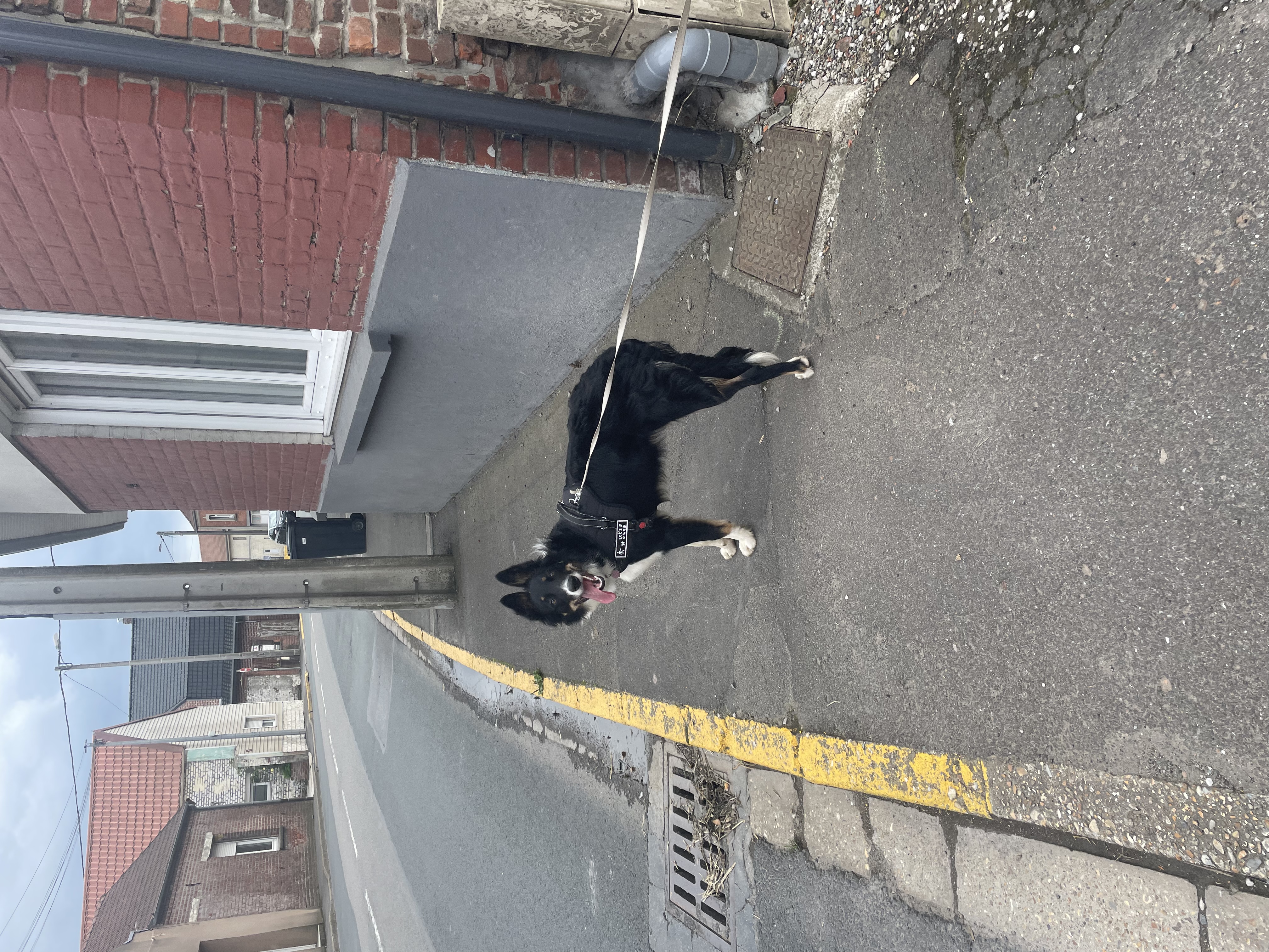 image-7