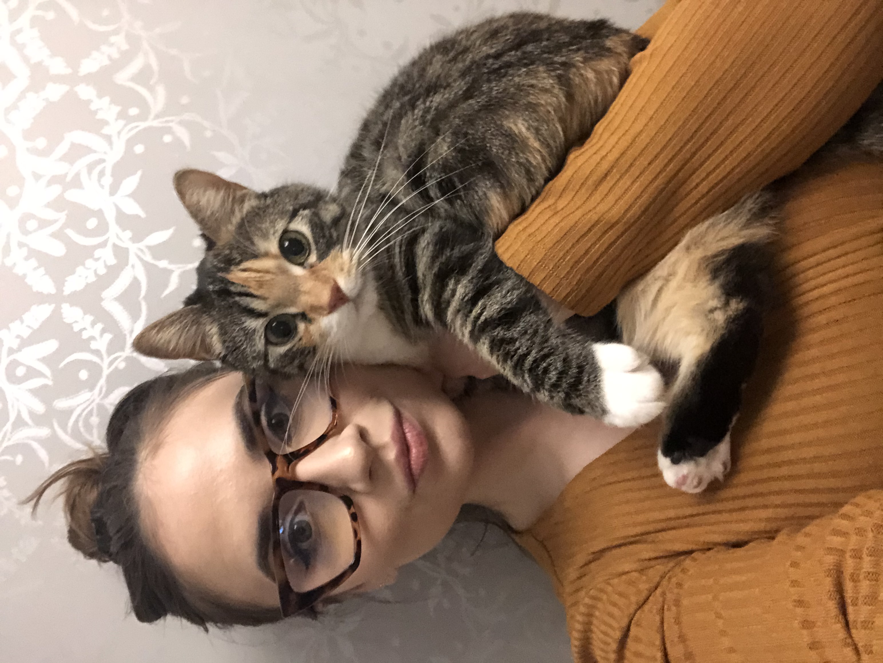 image-6