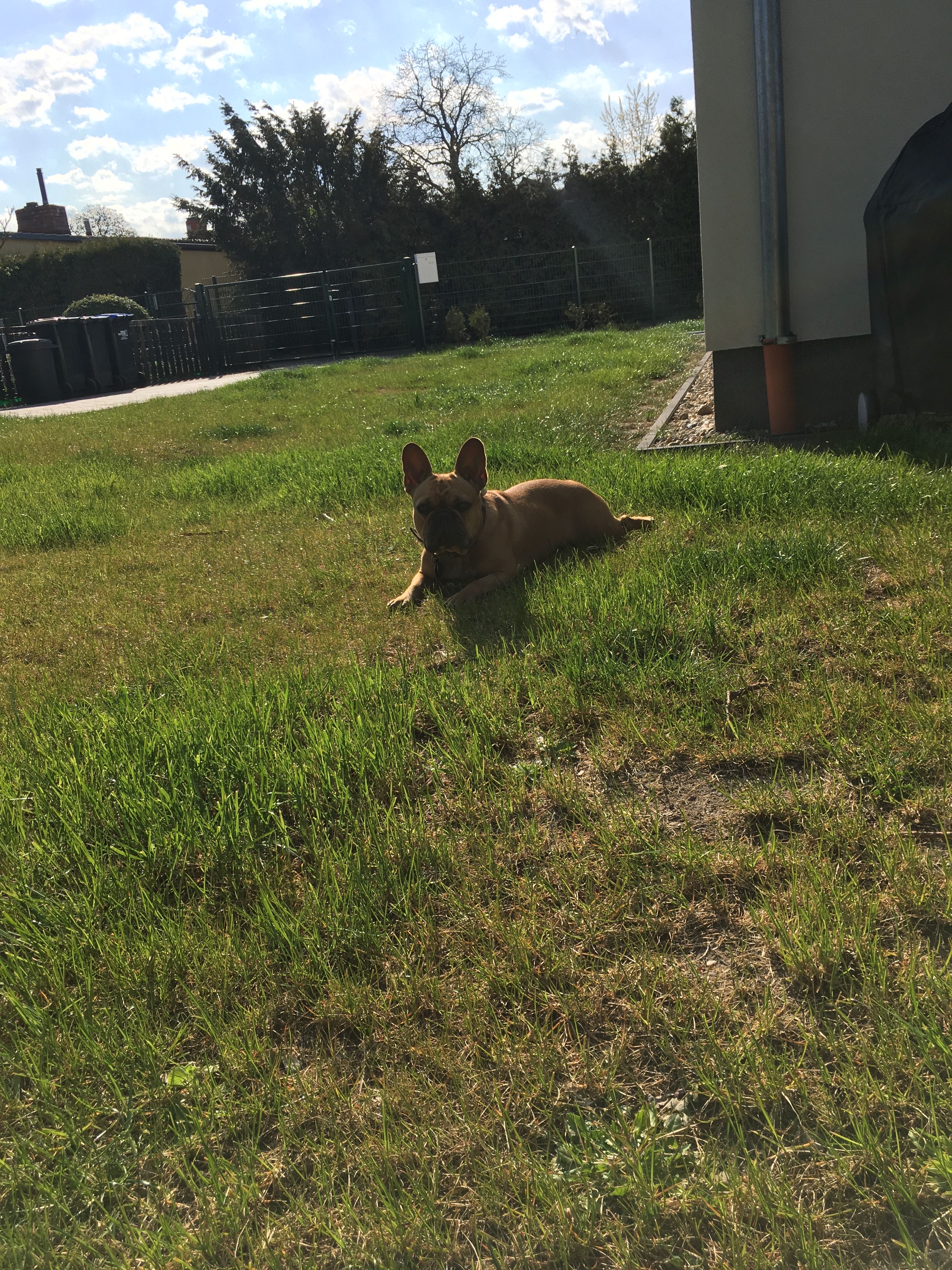 image-16