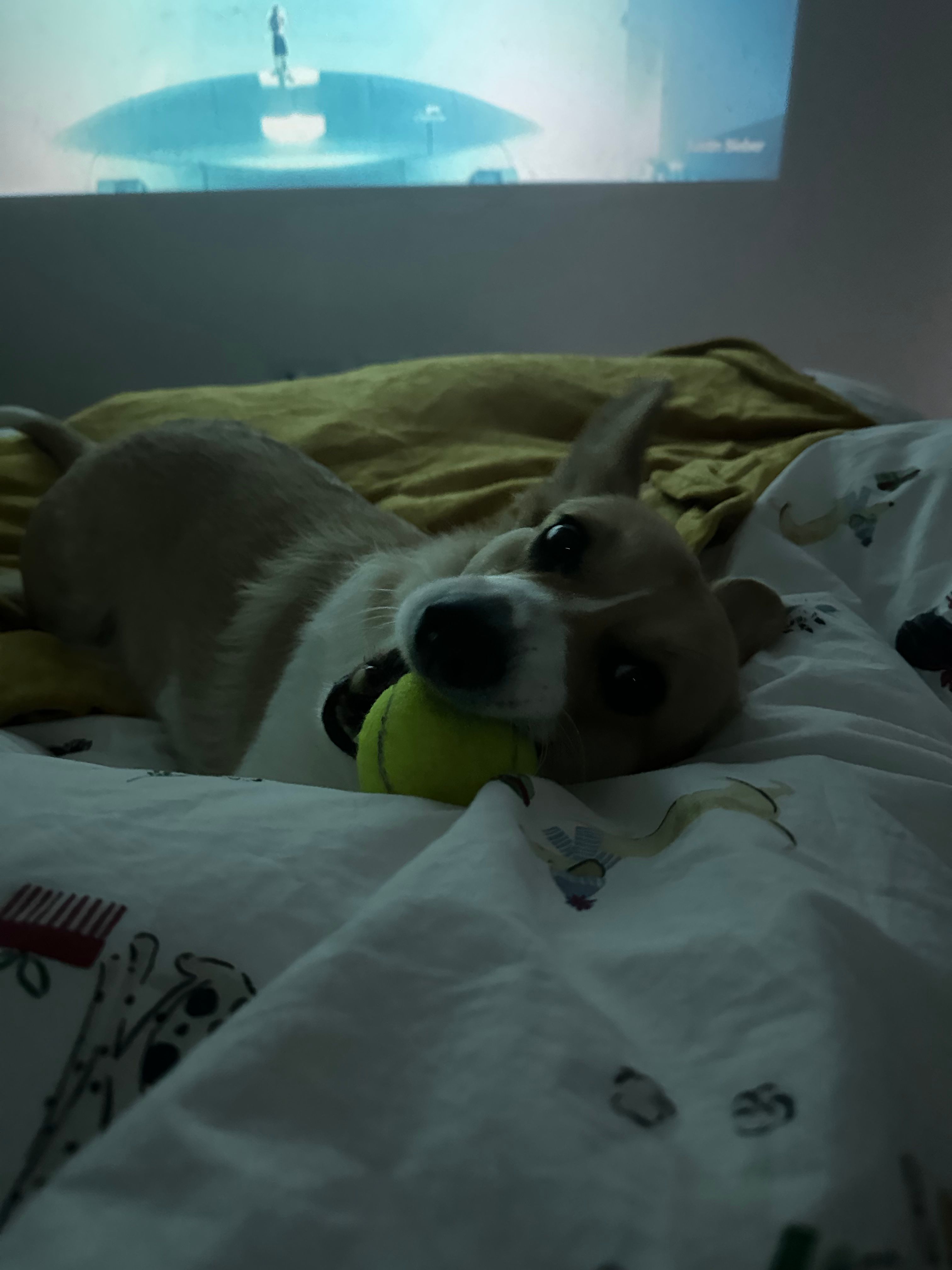 image-18